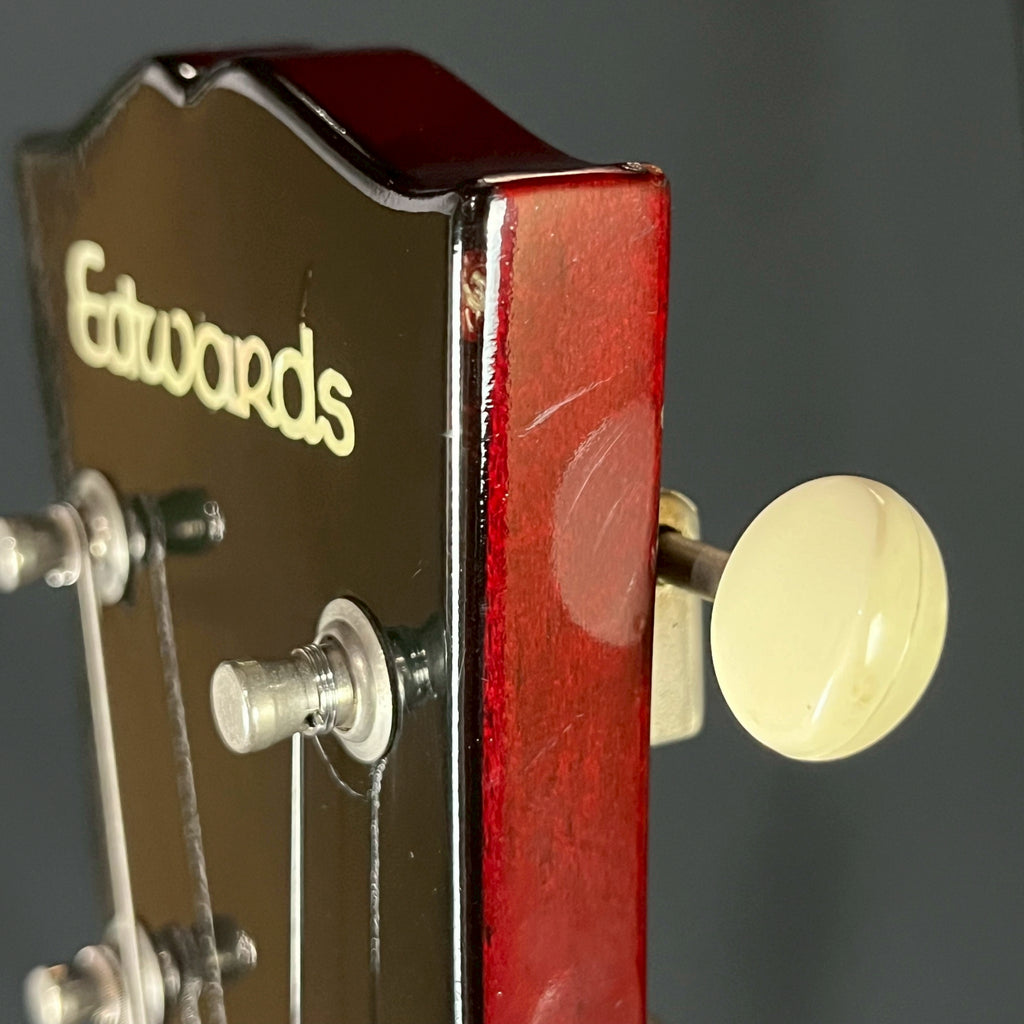 EDWARDS E-SG-90LT2/P