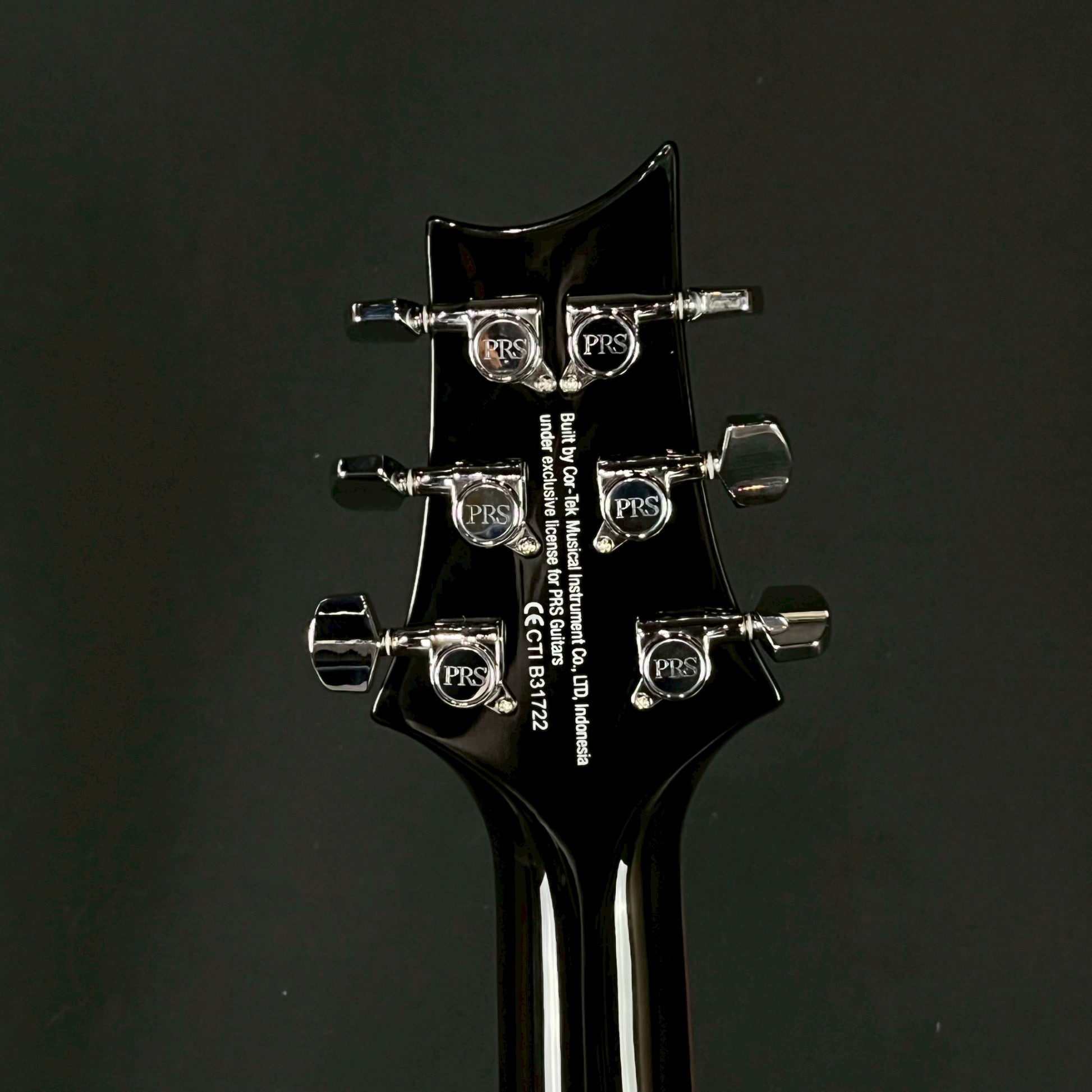 PRS SE Custom 24 2019