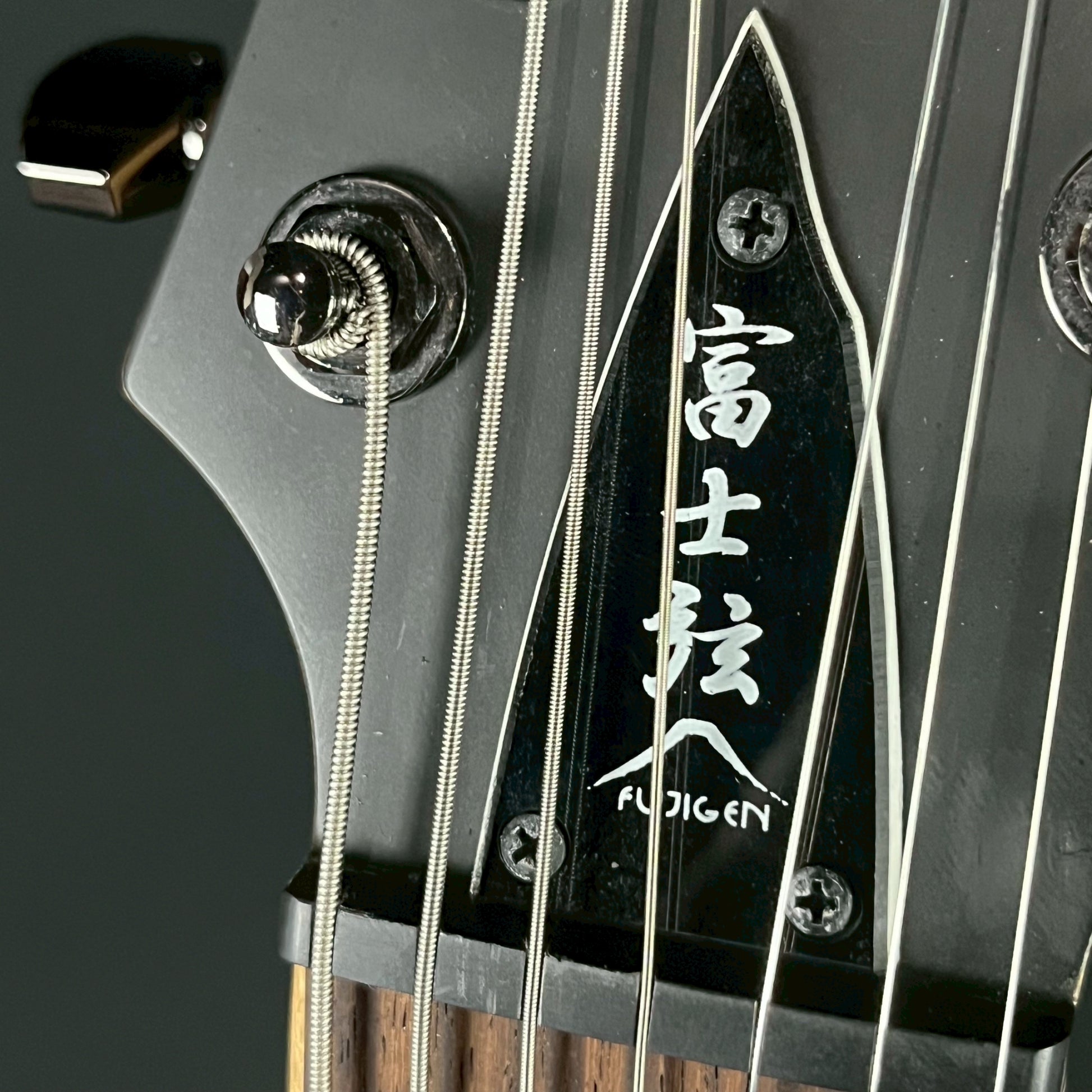 FGN Japan EEL-DE-7