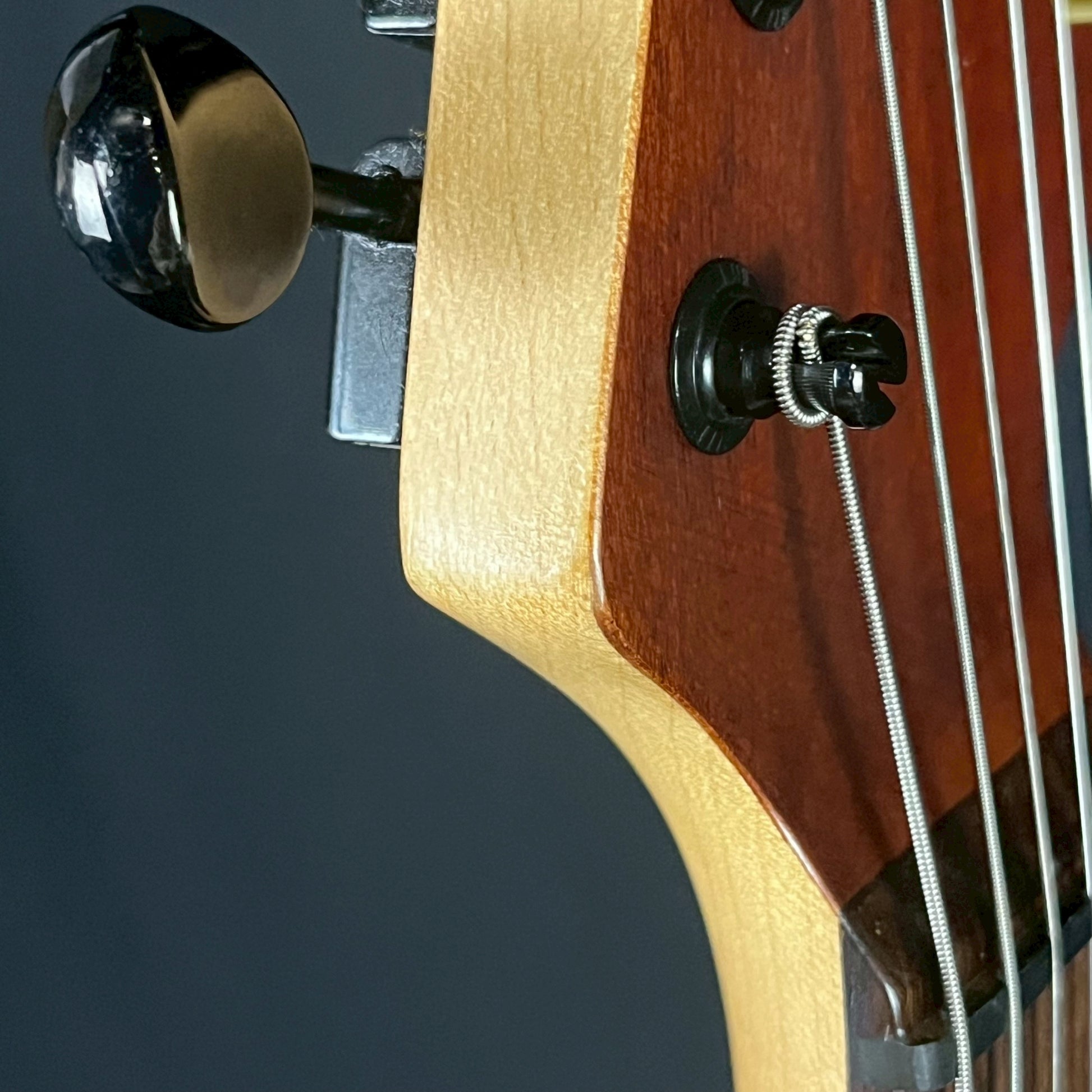 FERNANDES JG-85S EV