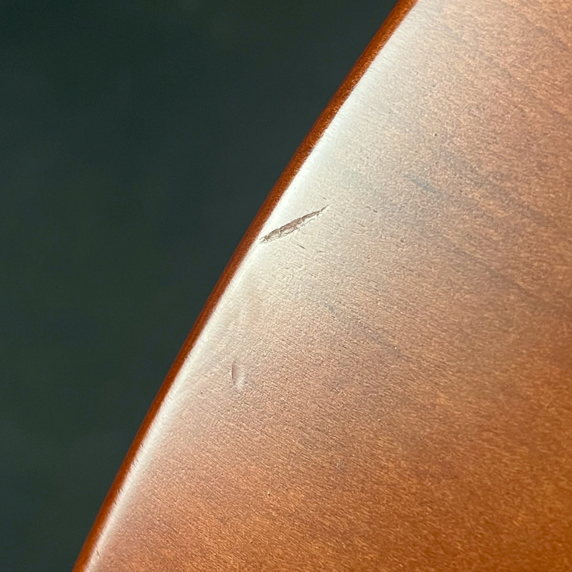 FERNANDES JG-85S EV