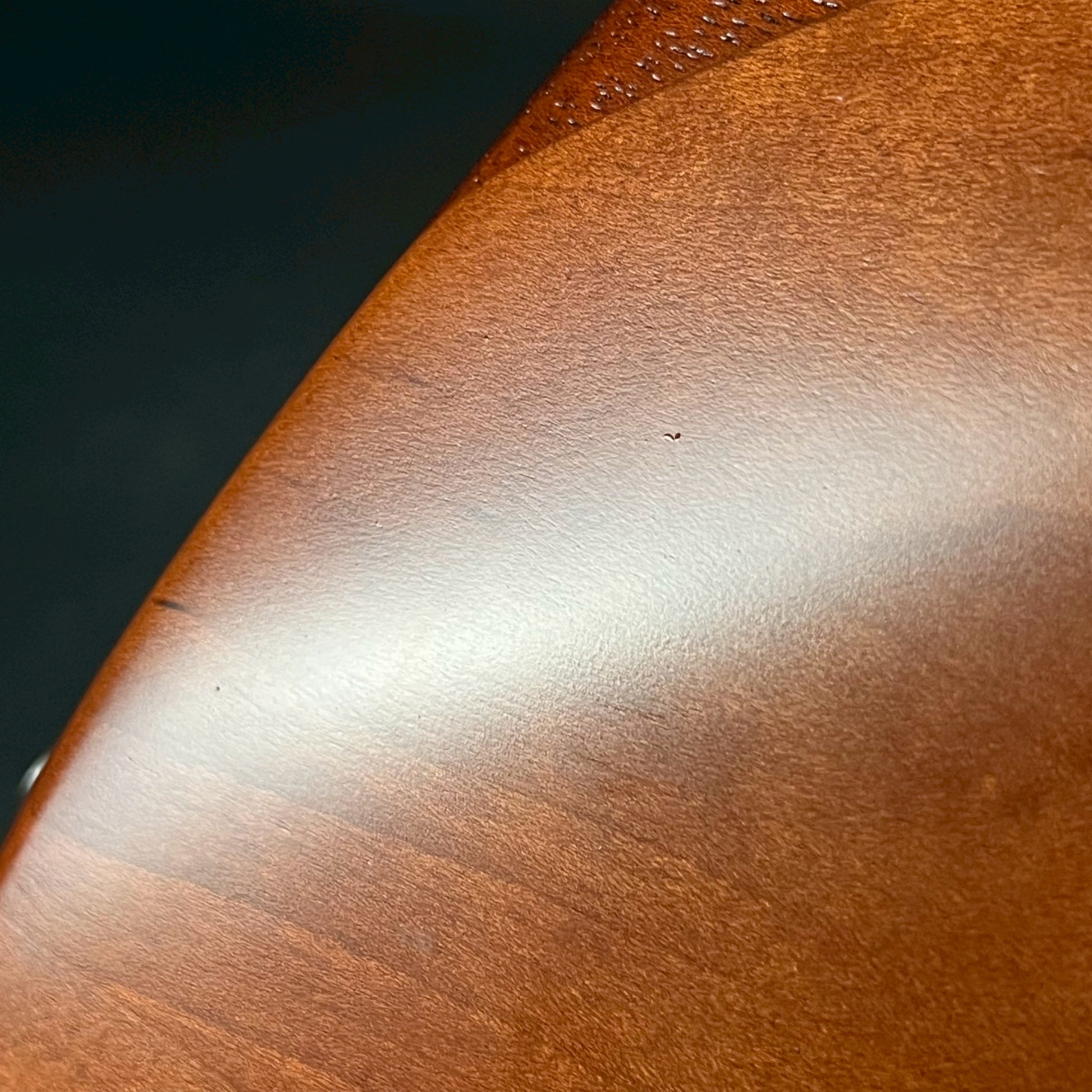 FERNANDES JG-85S EV