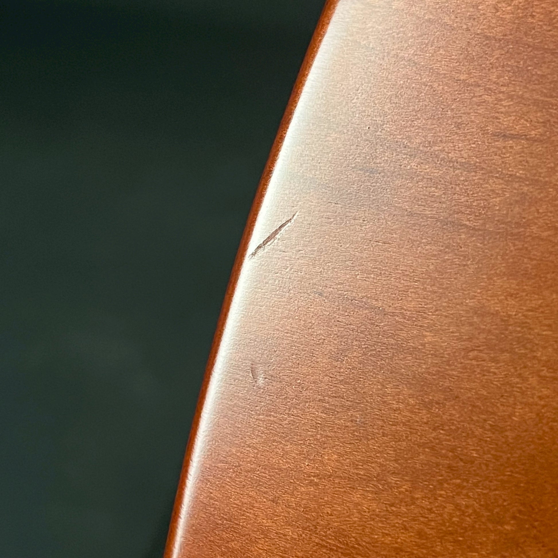FERNANDES JG-85S EV