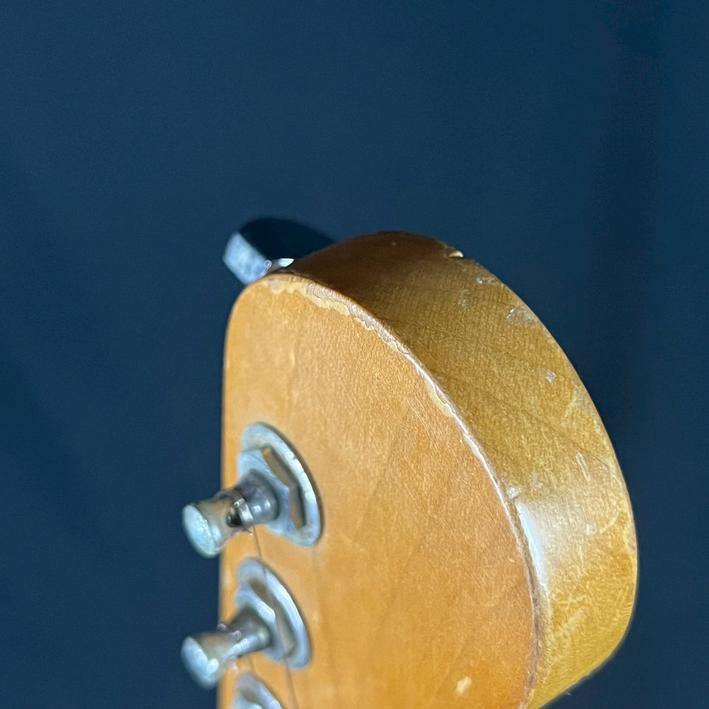 Fender Mexico Stratocaster