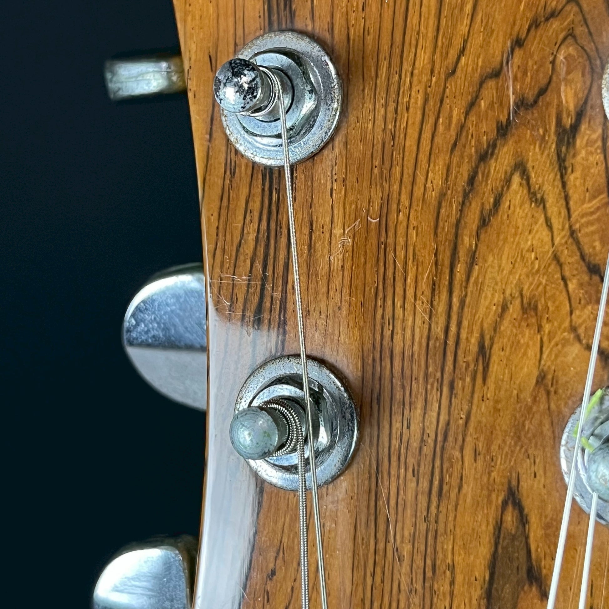 FERNANDES MG-85C