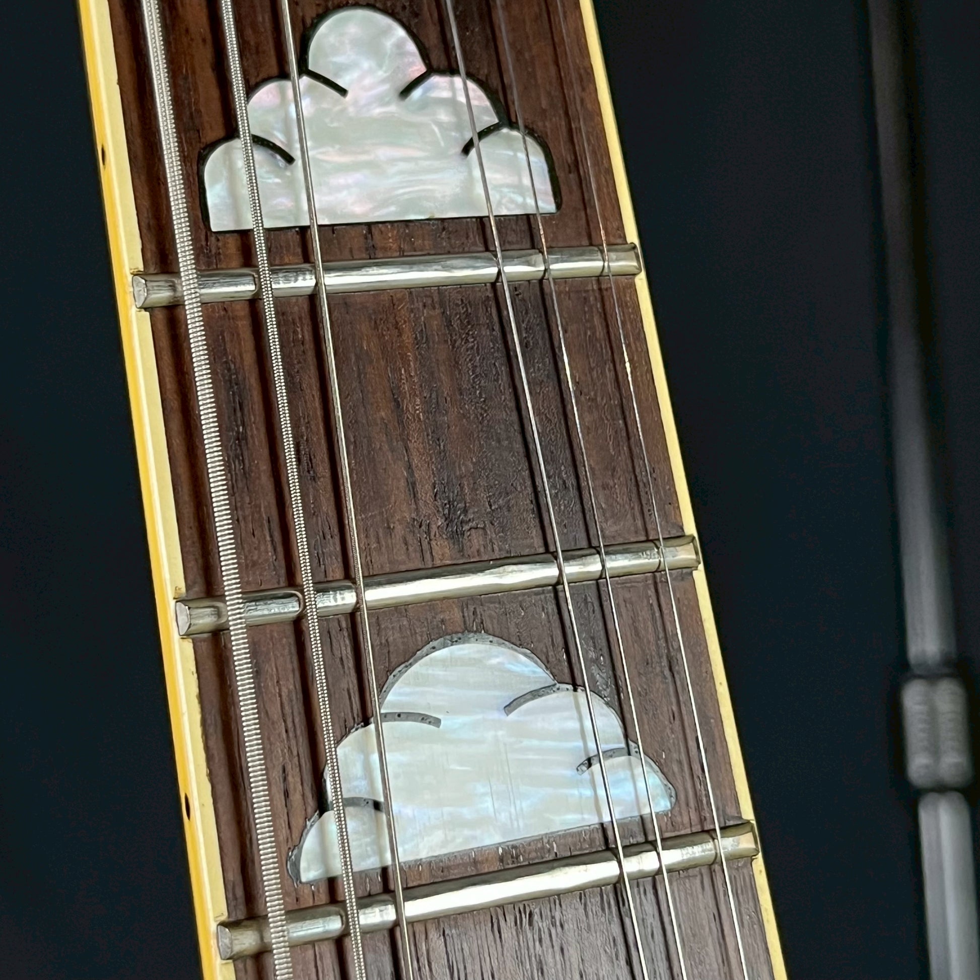 FERNANDES MG-85C