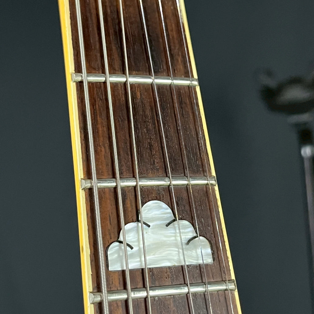 FERNANDES MG-85C