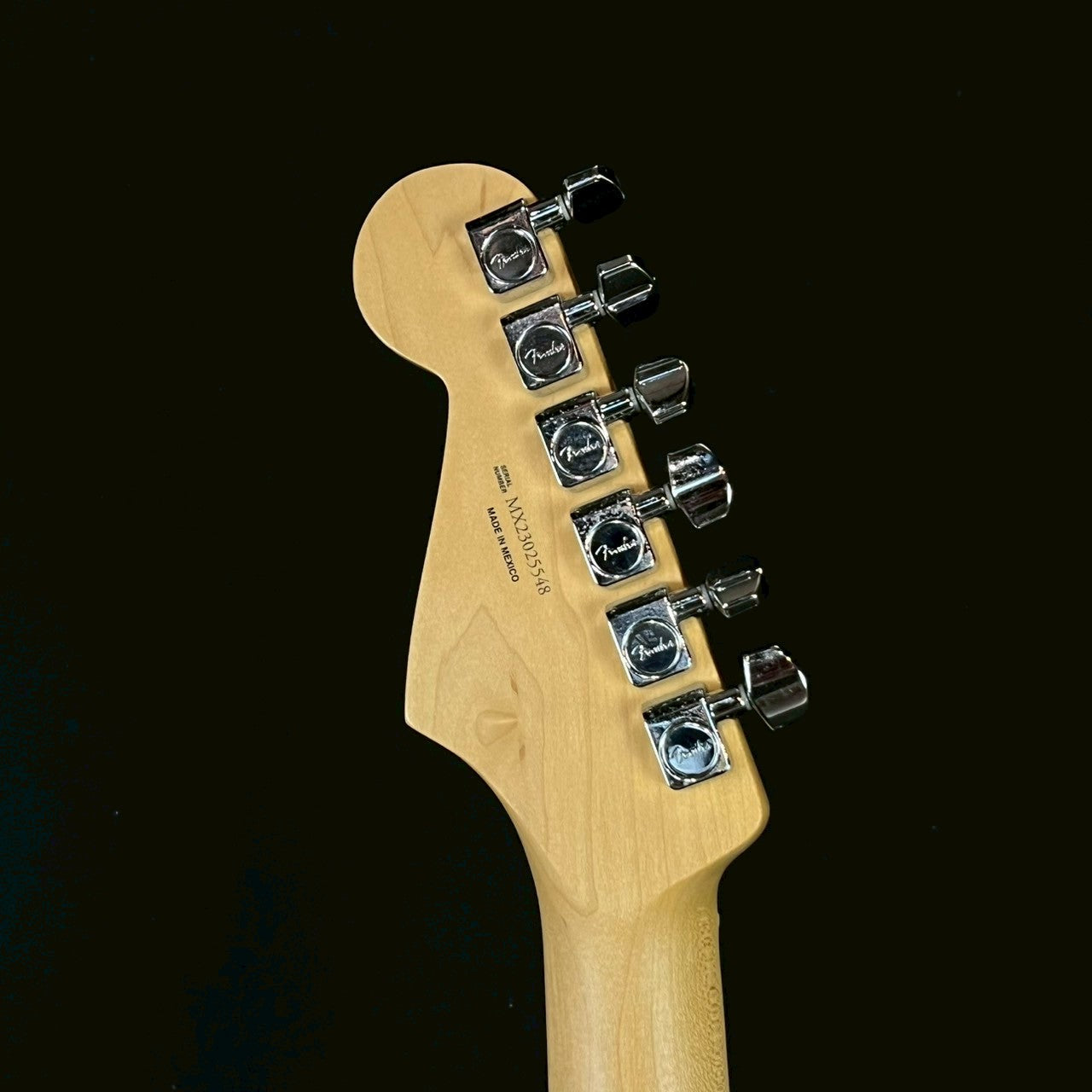 Fender Player Stratocaster MN PWT