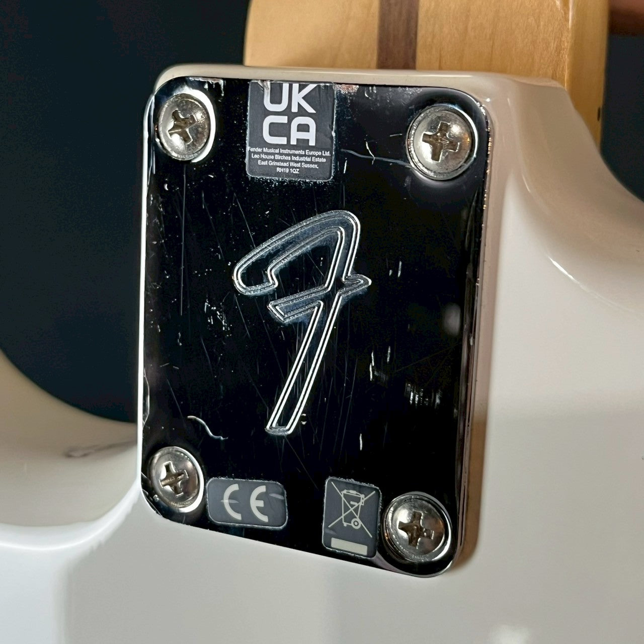 Fender Player Stratocaster MN PWT