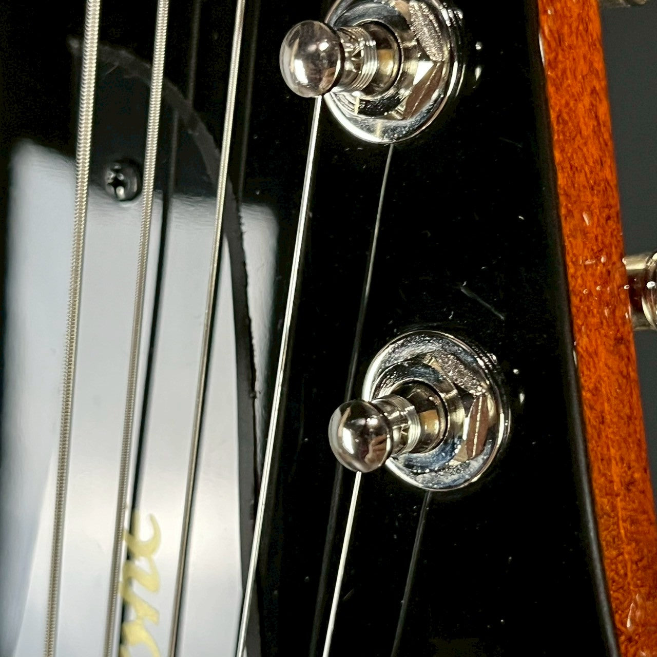 Epiphone Firebird 2024