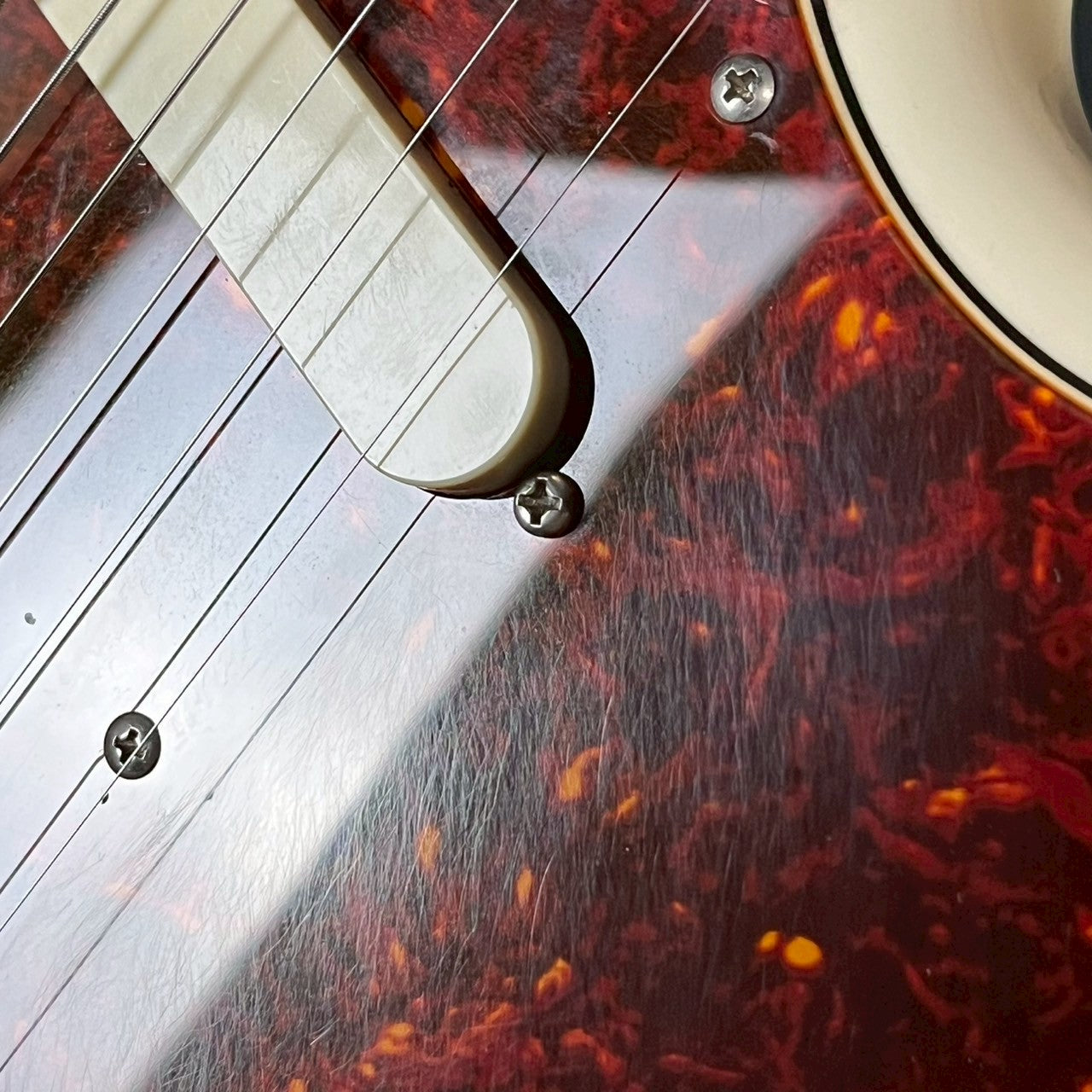 Fender Japan Mustang MG65