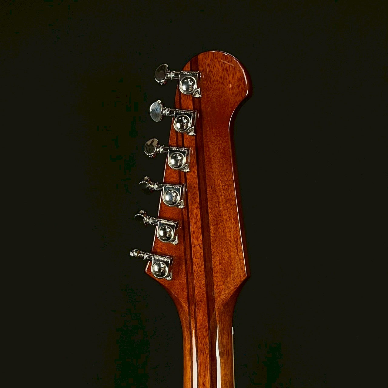 Epiphone Firebird 2024