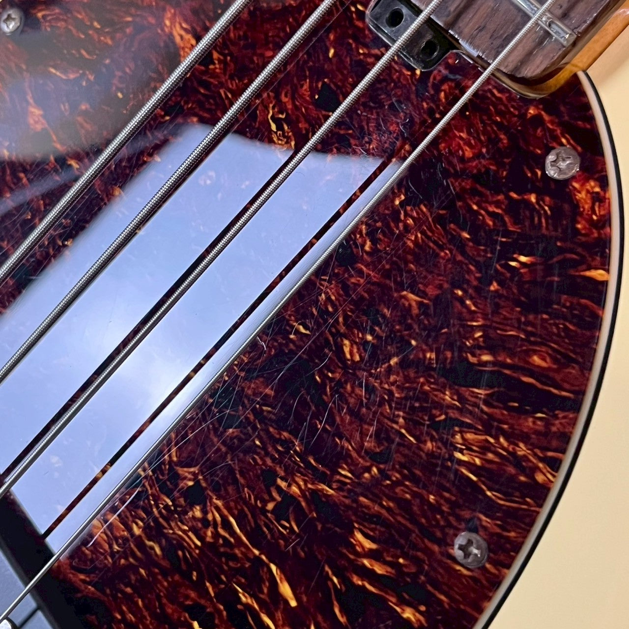 Sterling Ray34 Bass
