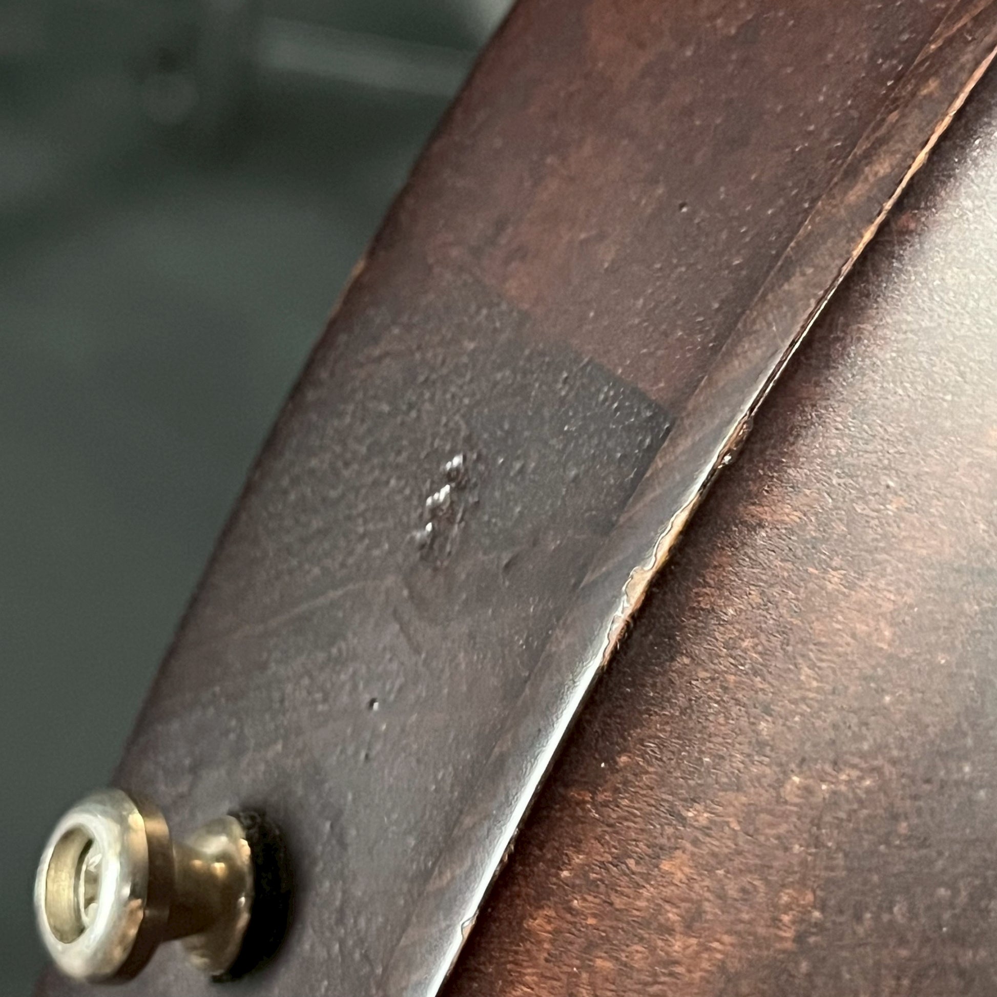 Gibson Les Paul Junior LPJ 2013