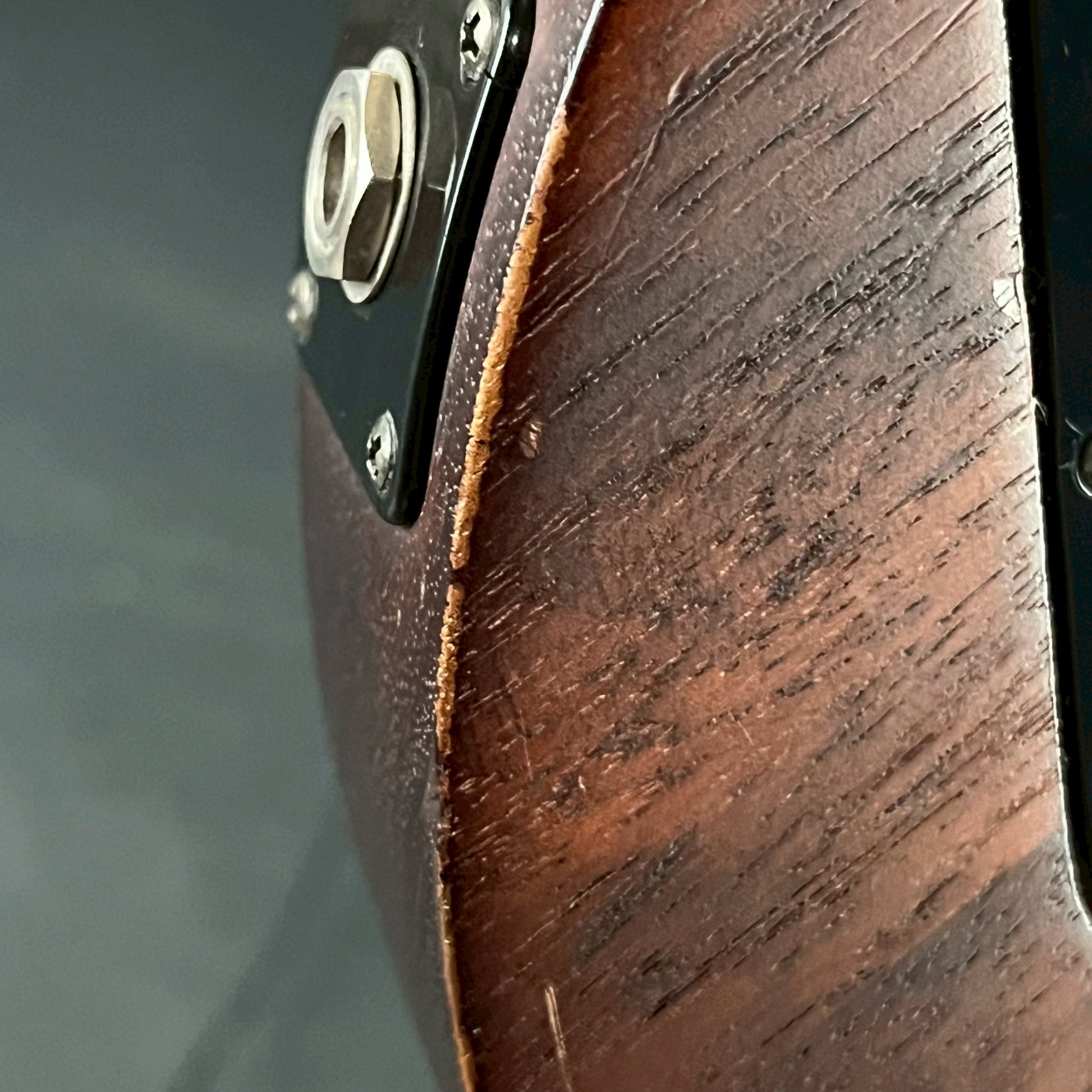 Gibson Les Paul Junior LPJ 2013