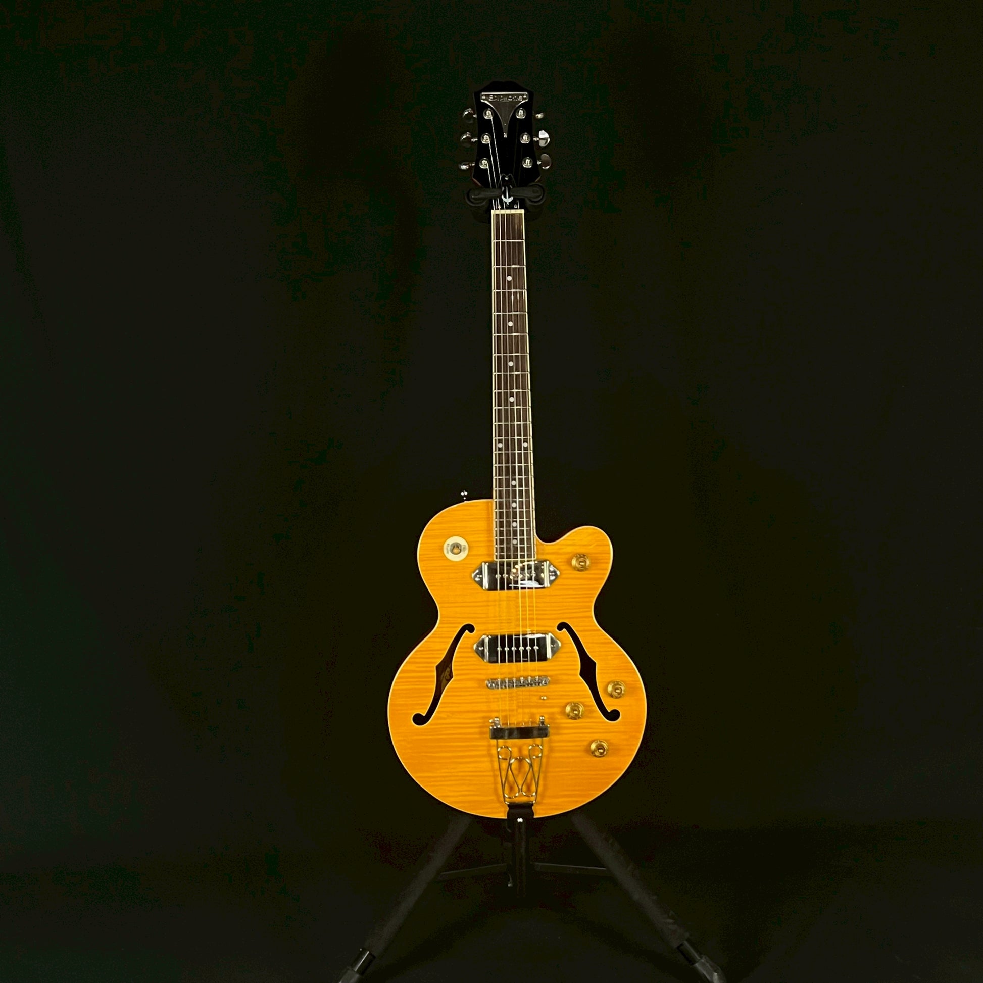 Epiphone Wildkat