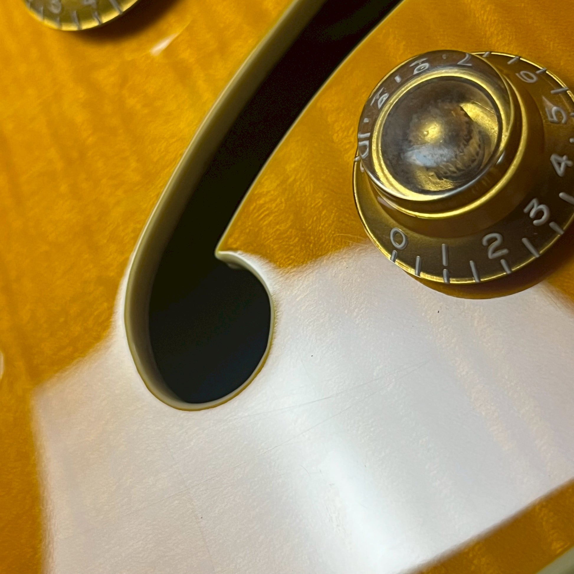 Epiphone Wildkat