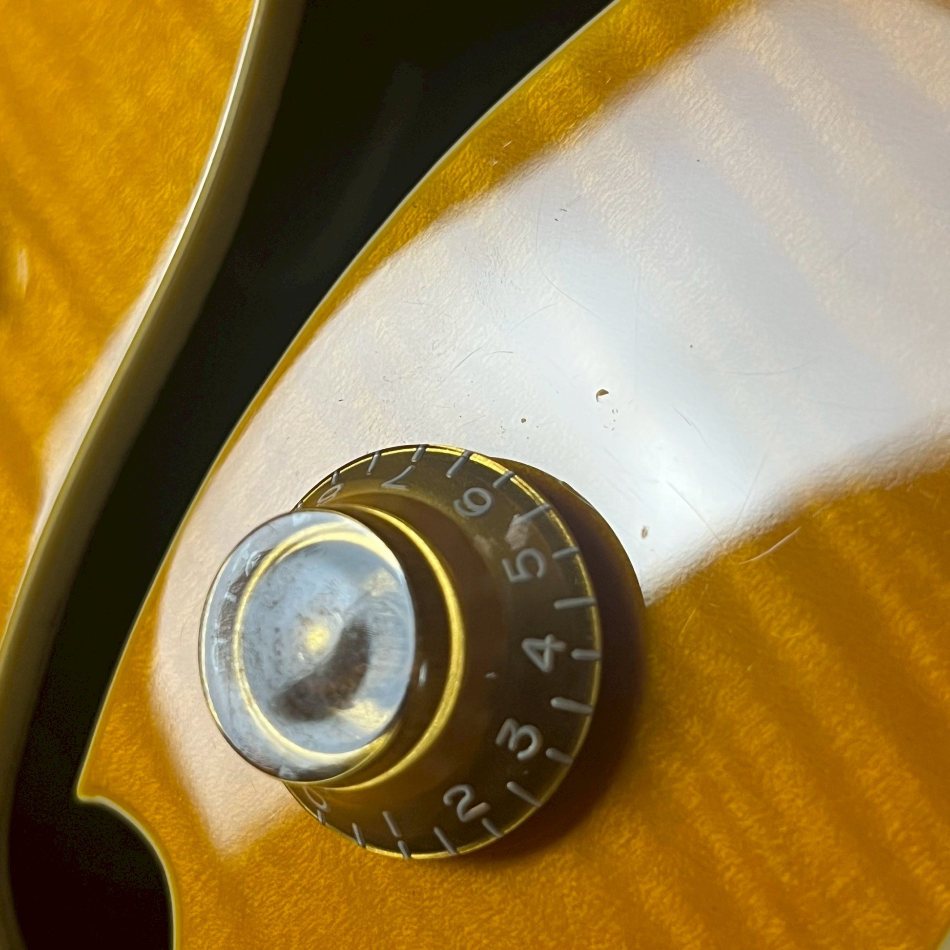 Epiphone Wildkat