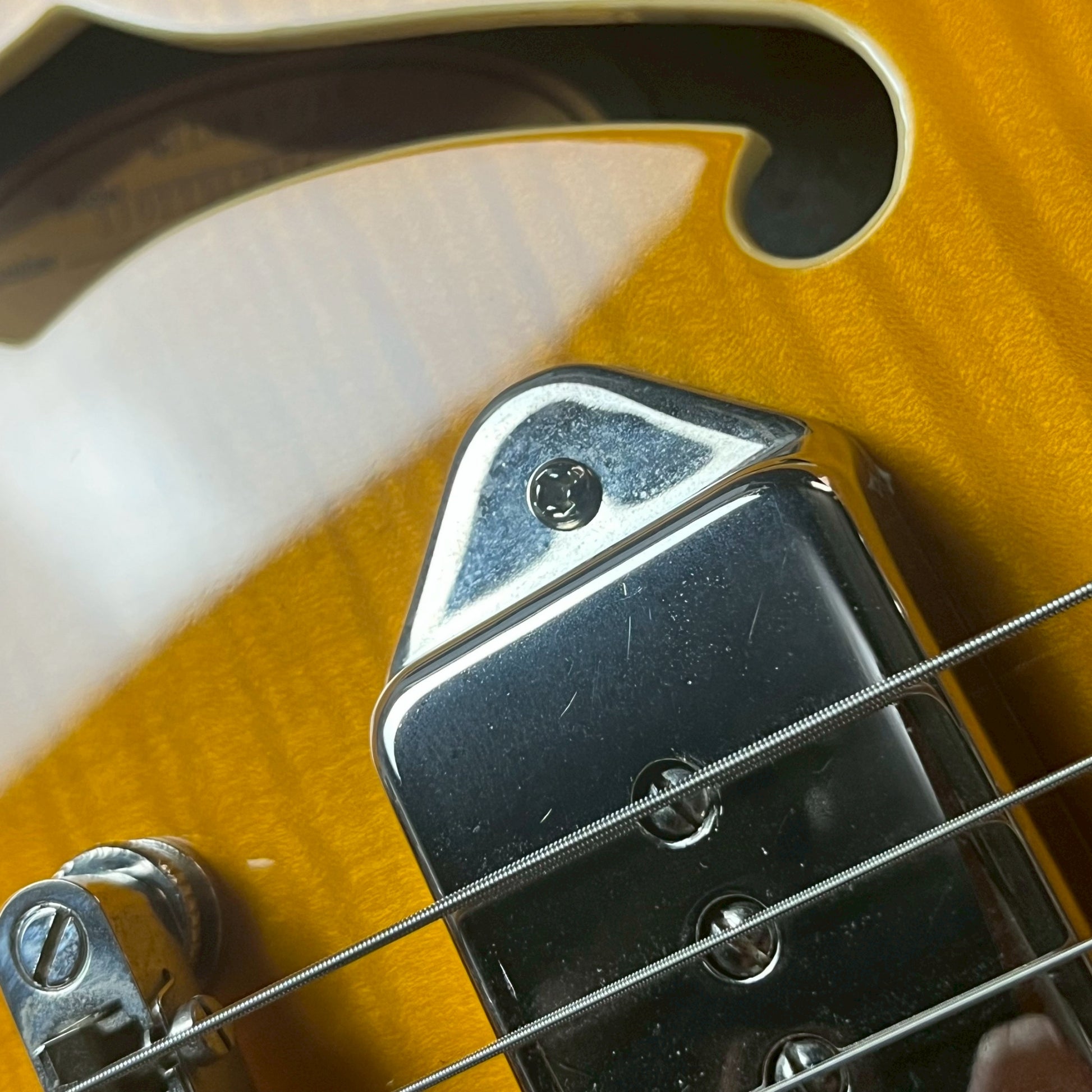 Epiphone Wildkat