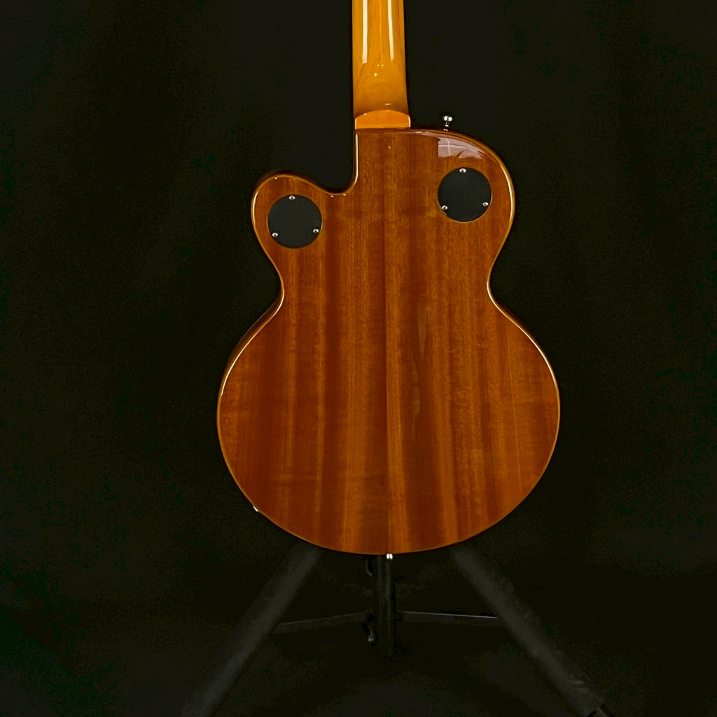 Epiphone Wildkat