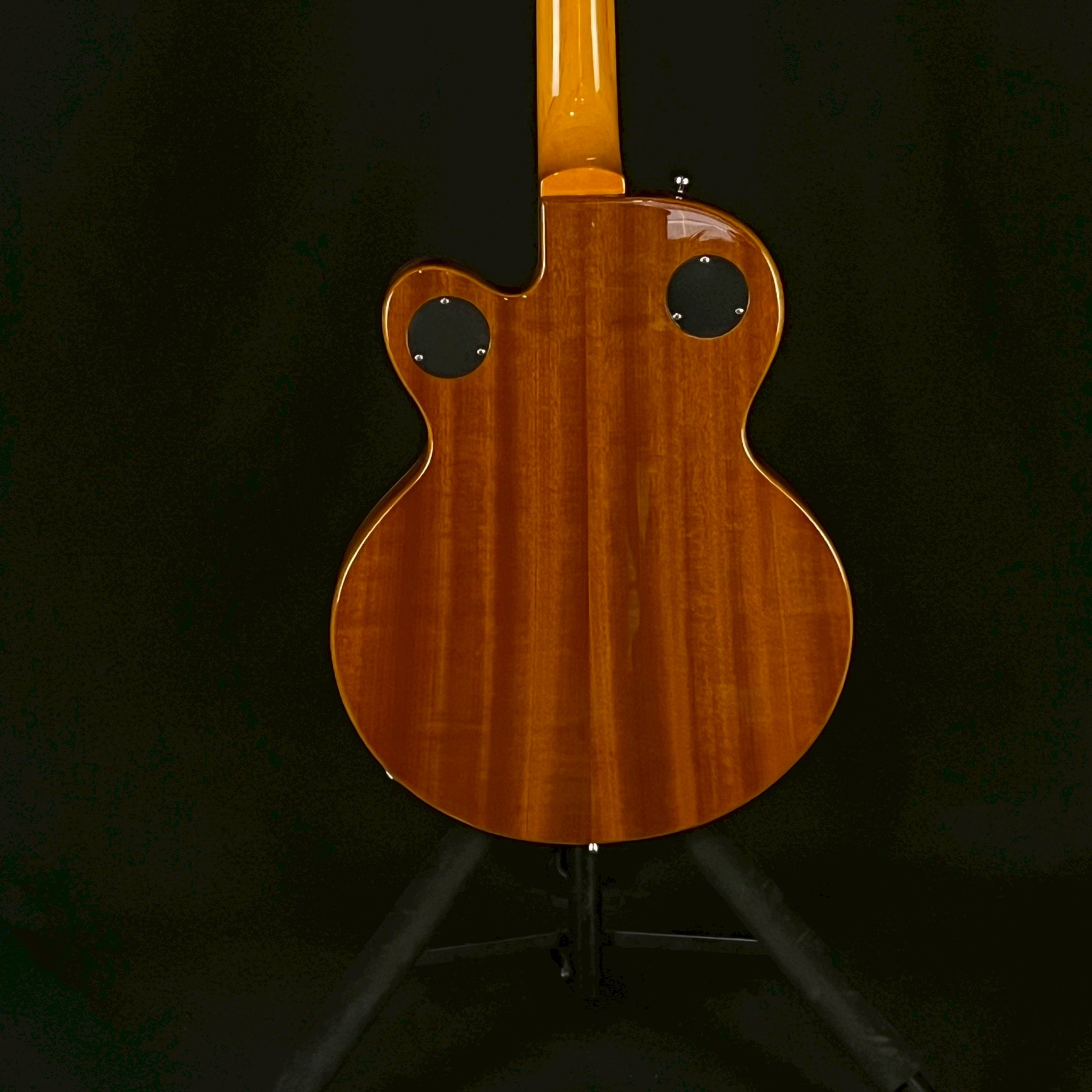 Epiphone Wildkat
