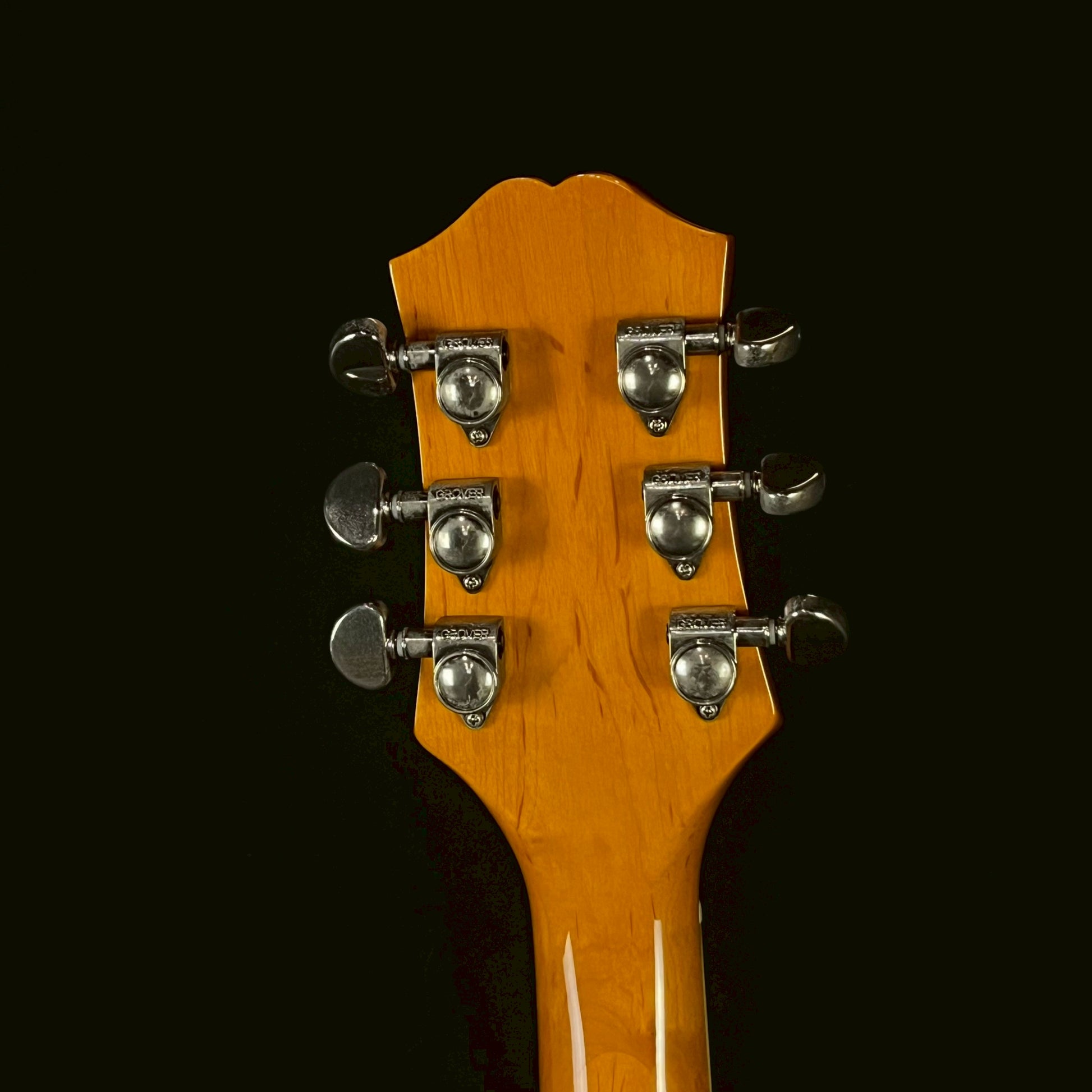 Epiphone Wildkat