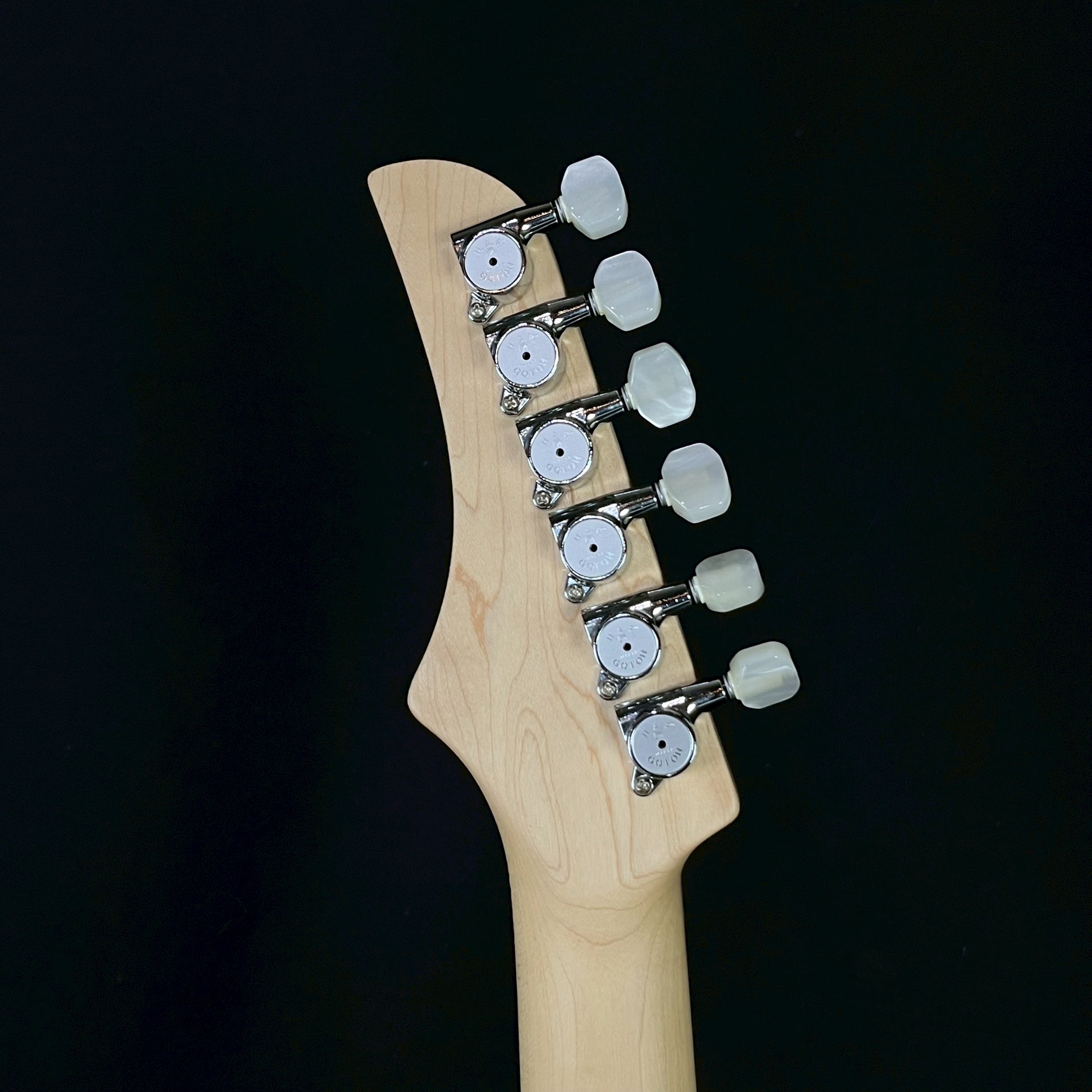 FERNANDES REGULUS Model