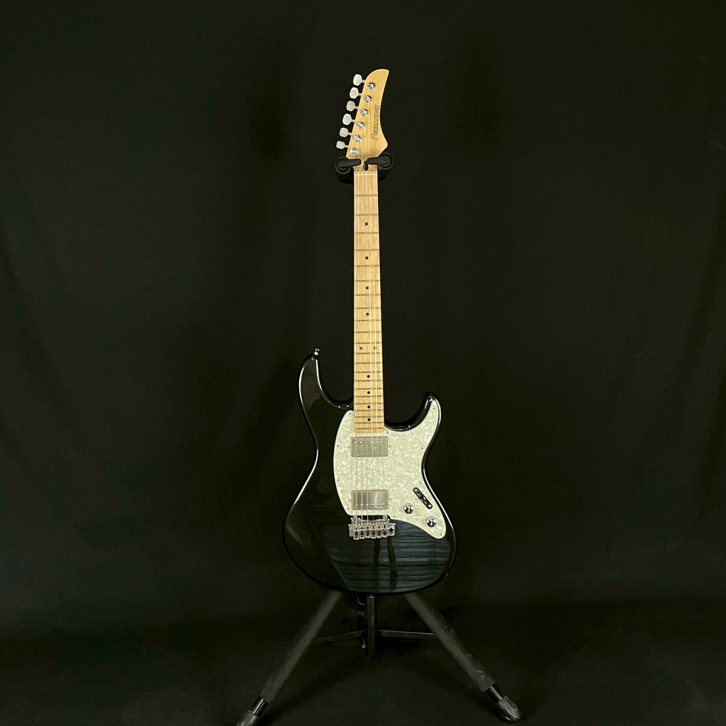 FERNANDES REGULUS Model