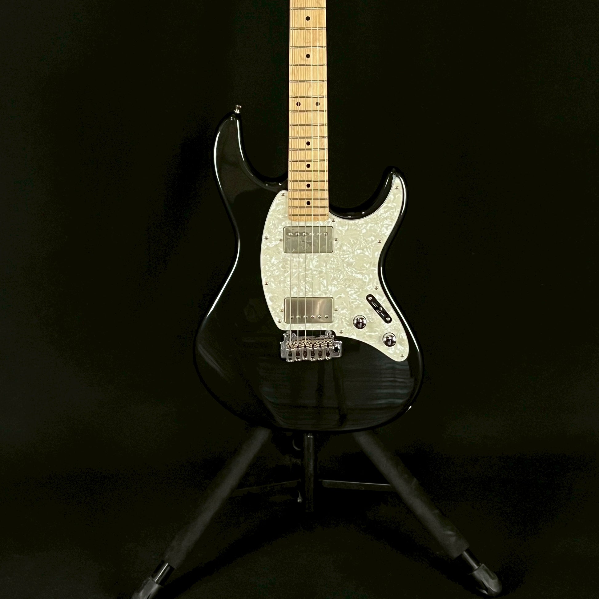 FERNANDES REGULUS Model