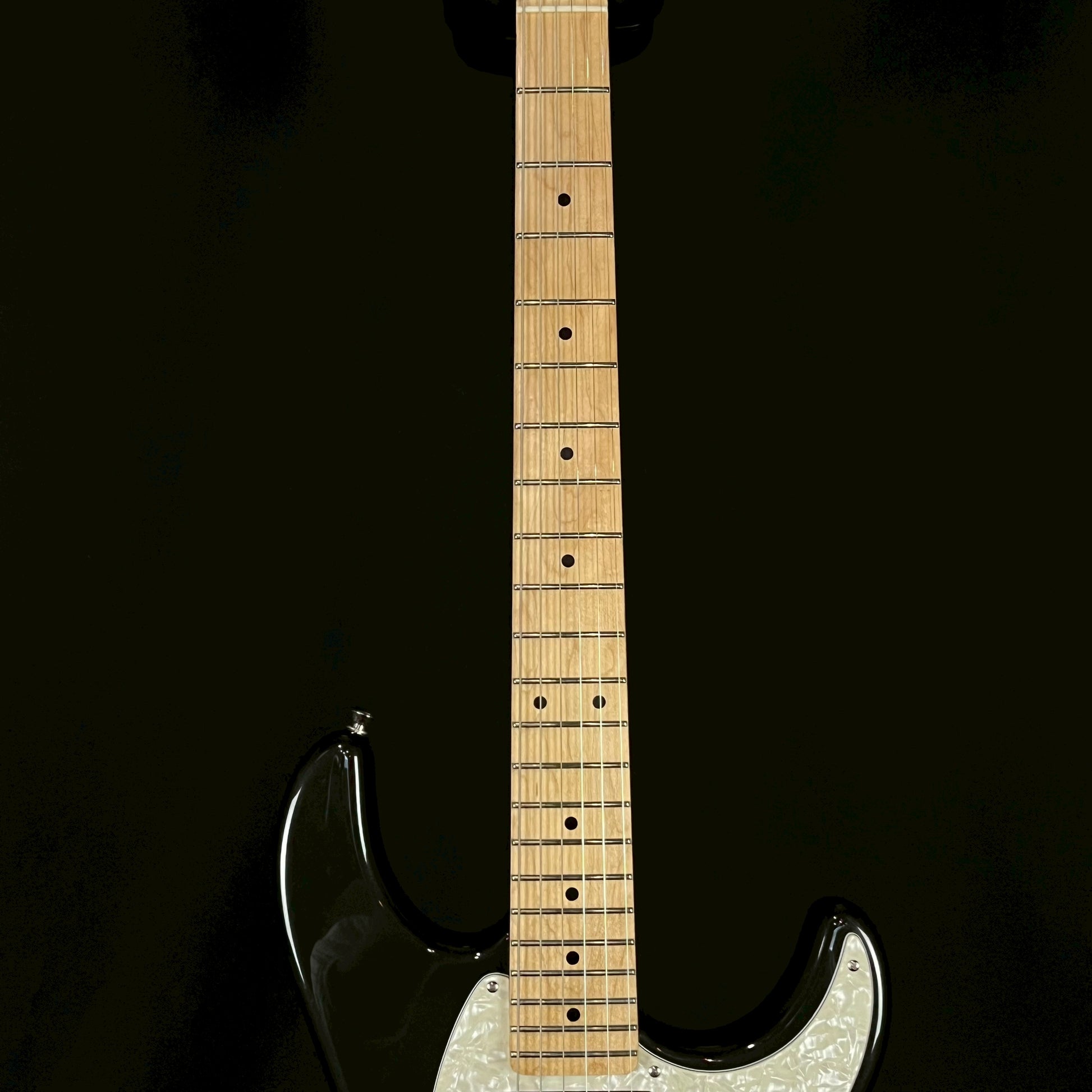 FERNANDES REGULUS Model