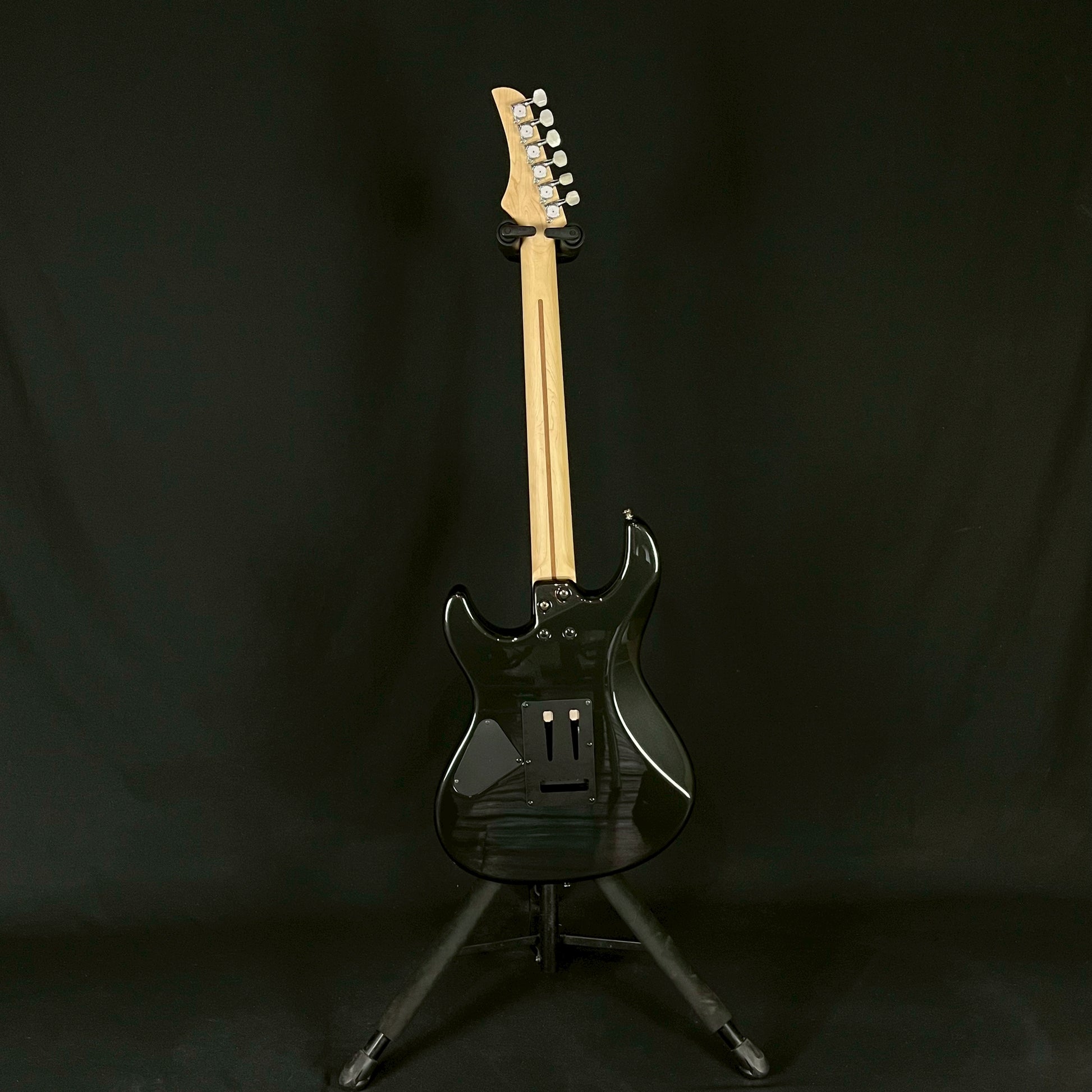 FERNANDES REGULUS Model