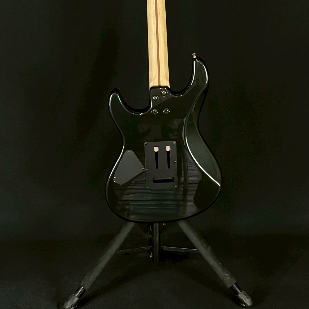 FERNANDES REGULUS Model