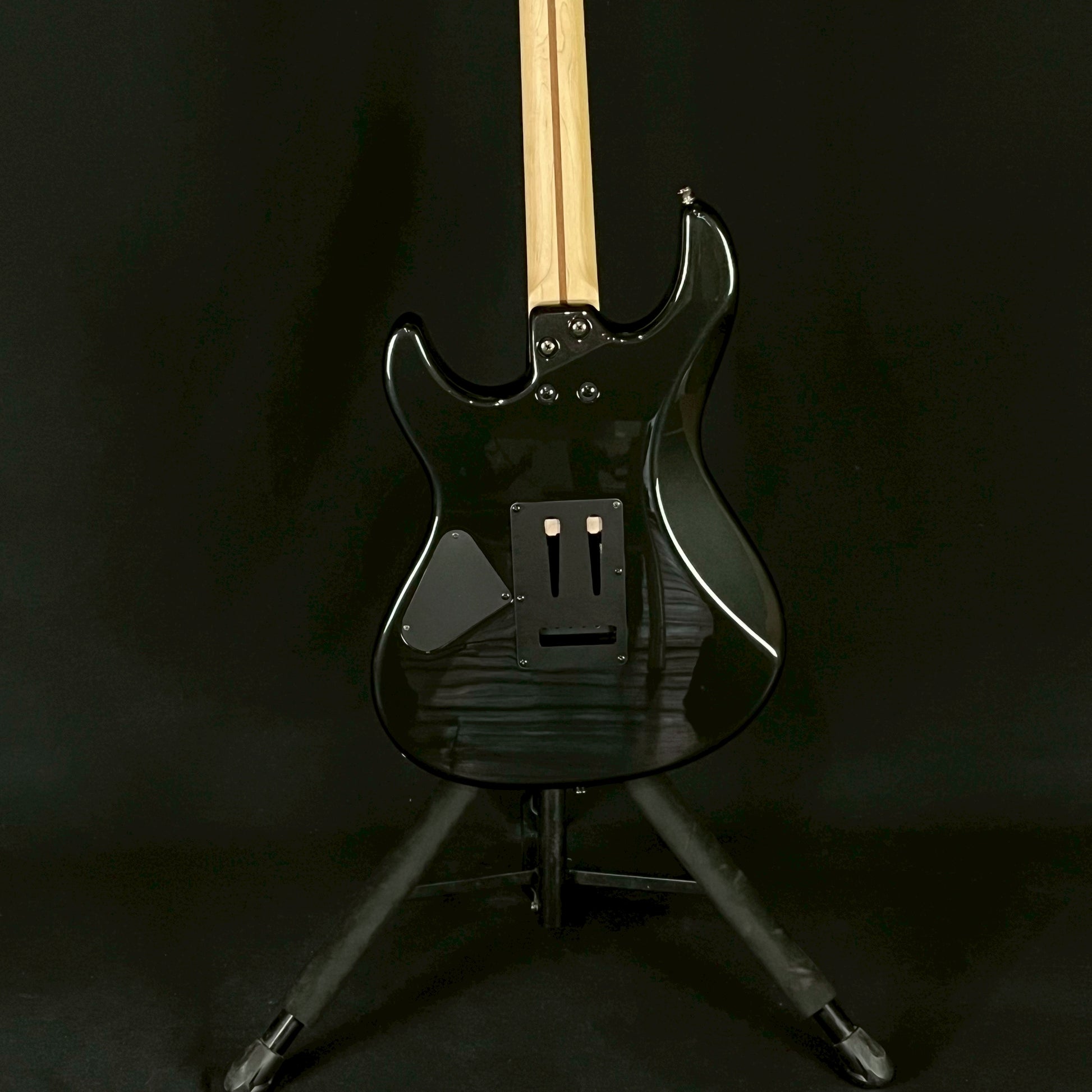 FERNANDES REGULUS Model