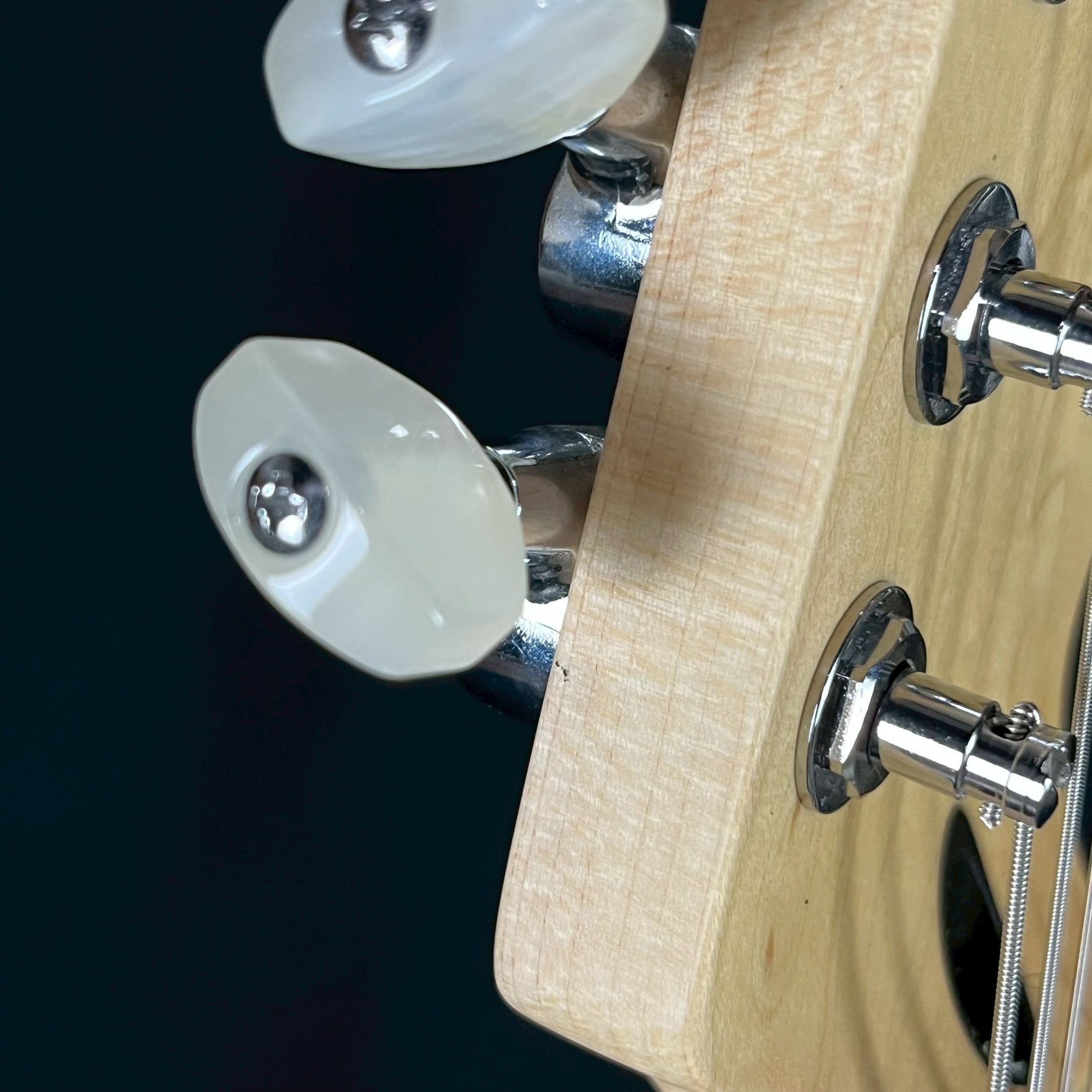 FERNANDES REGULUS Model
