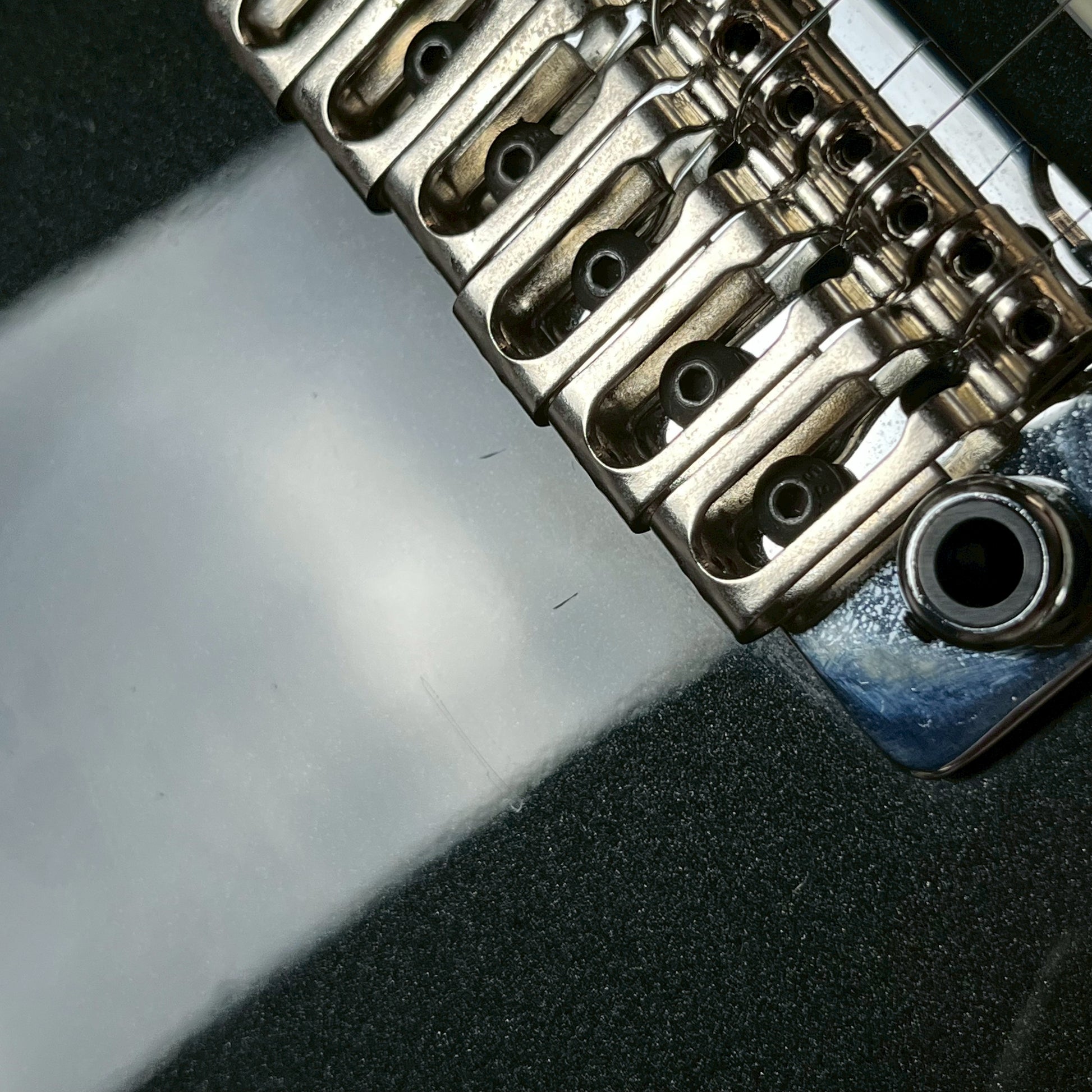 FERNANDES REGULUS Model