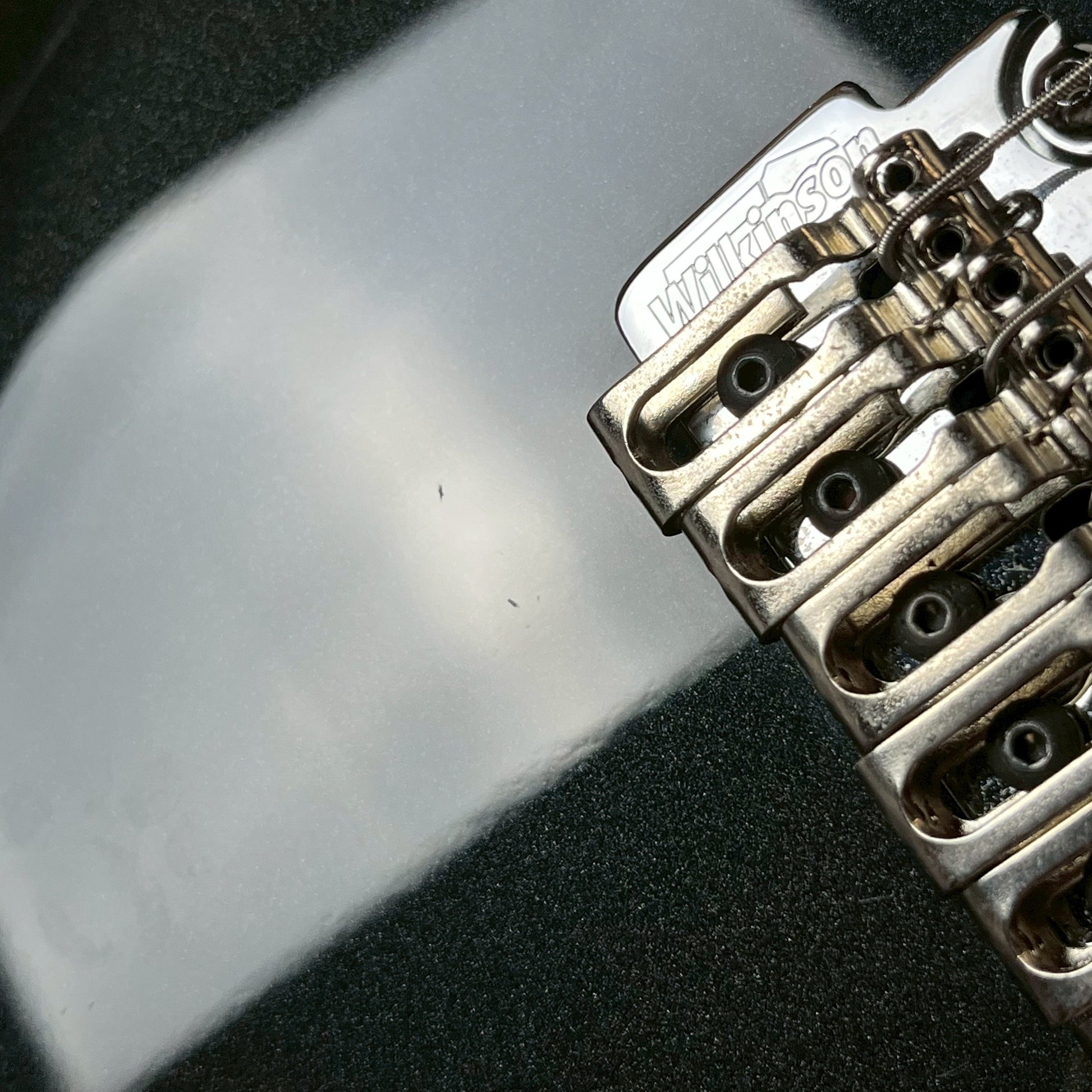 FERNANDES REGULUS Model