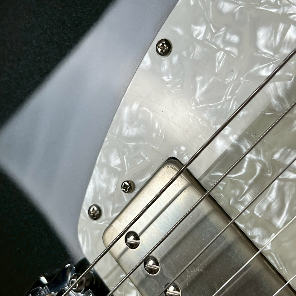 FERNANDES REGULUS Model