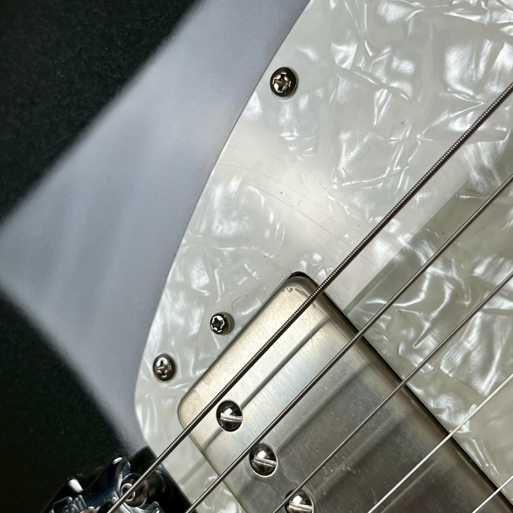 FERNANDES REGULUS Model