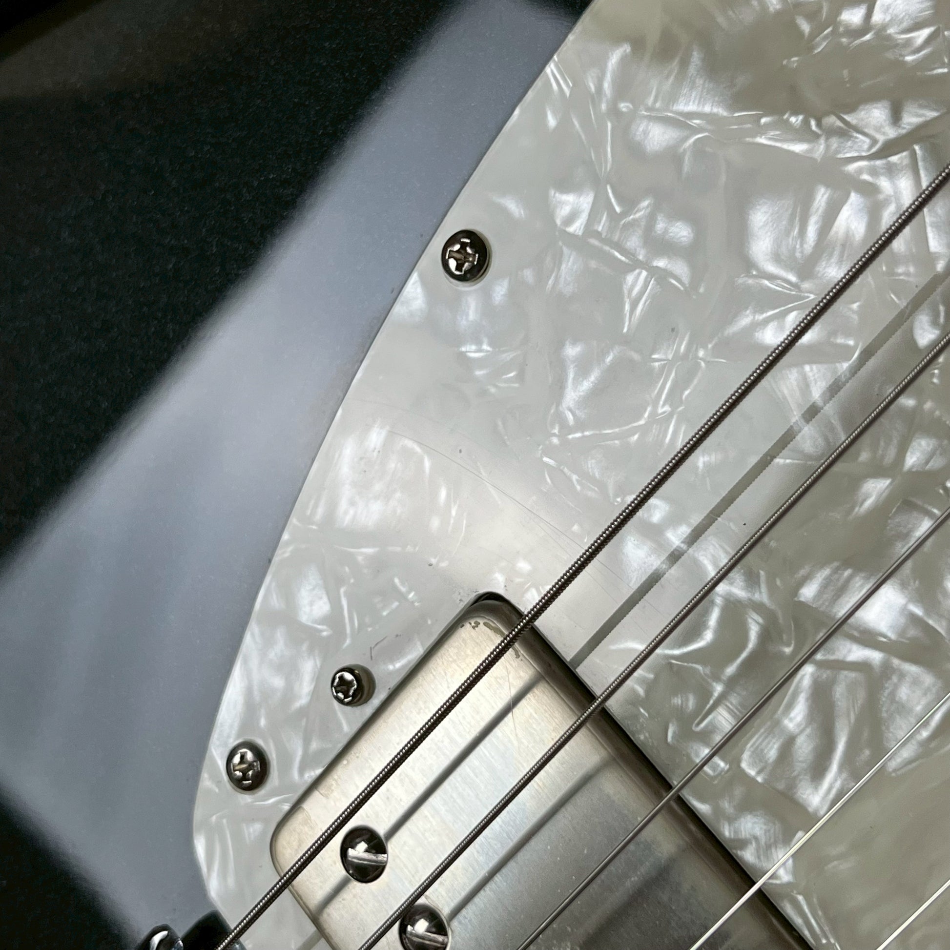 FERNANDES REGULUS Model