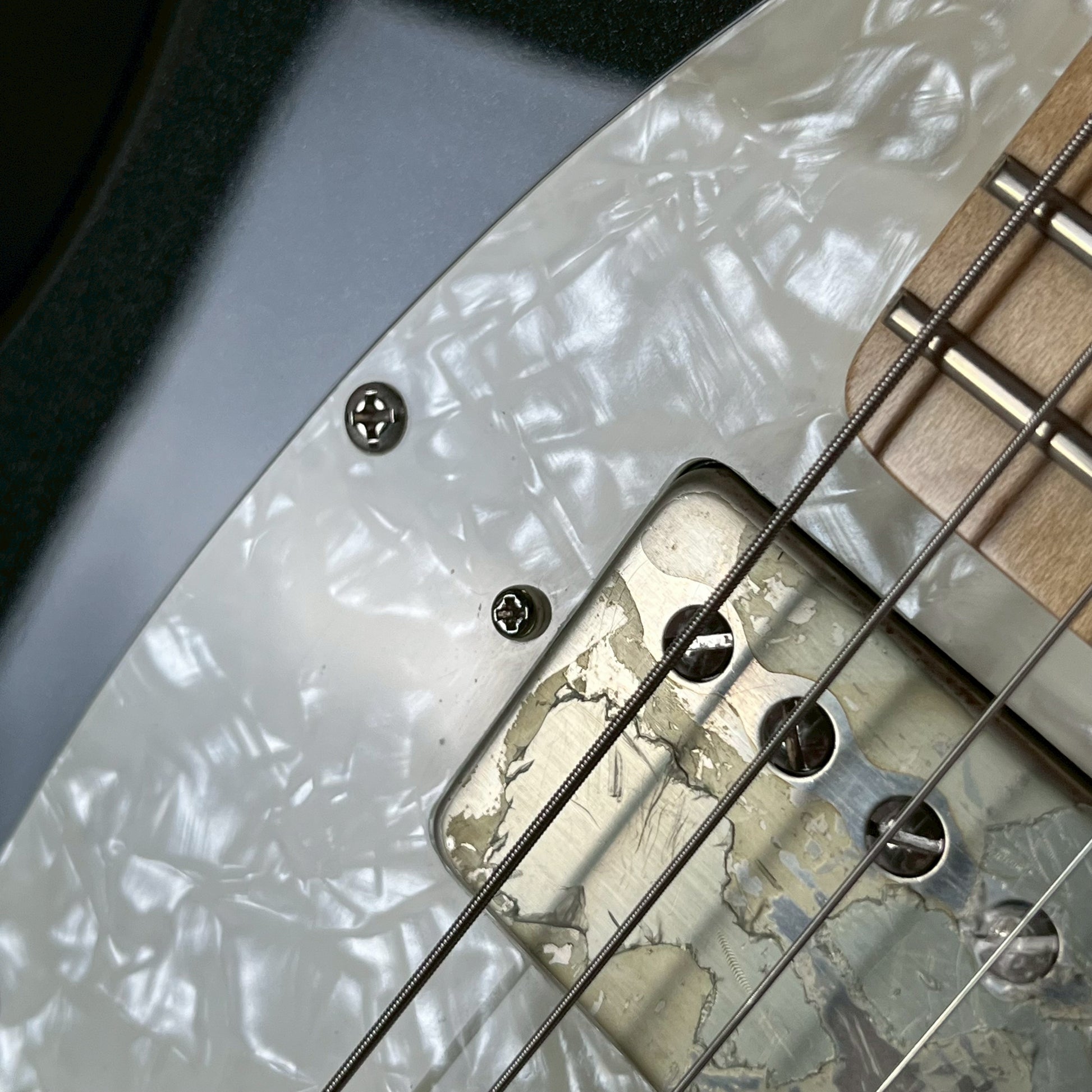 FERNANDES REGULUS Model