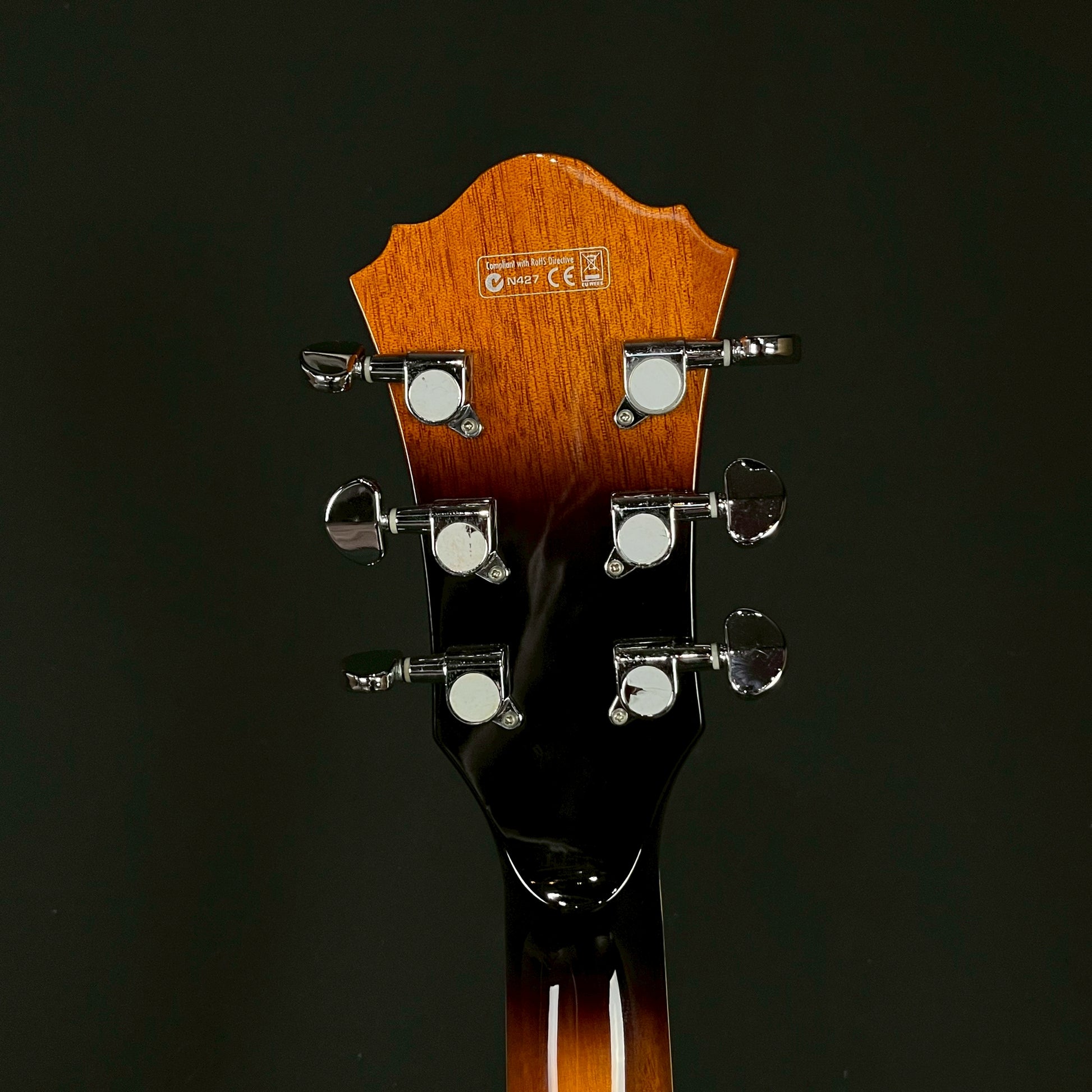 Ibanez AK81-VB