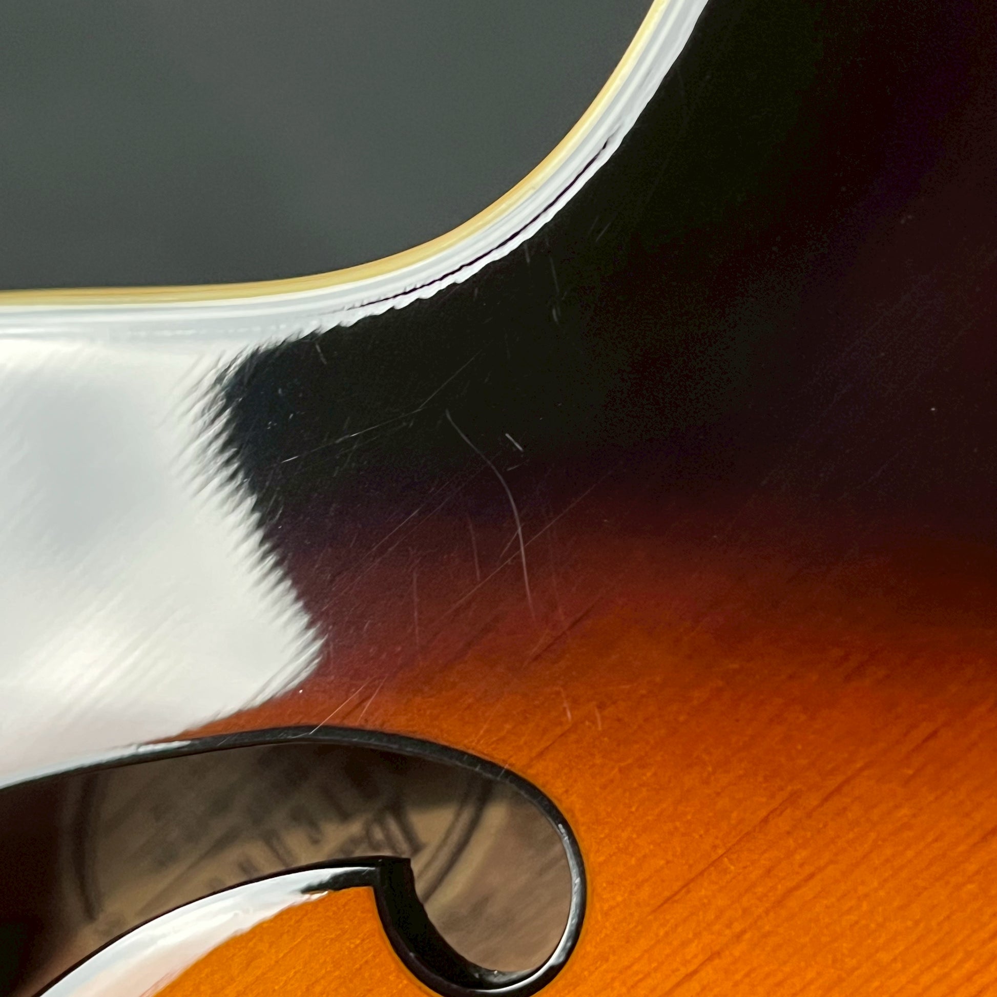 Ibanez AK81-VB