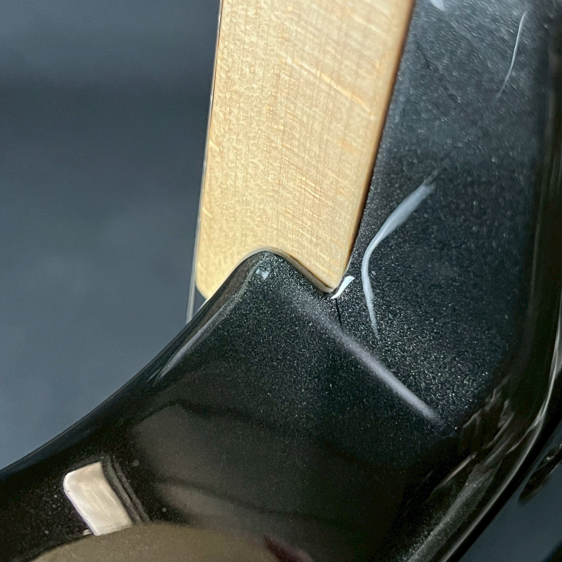 FERNANDES REGULUS Model