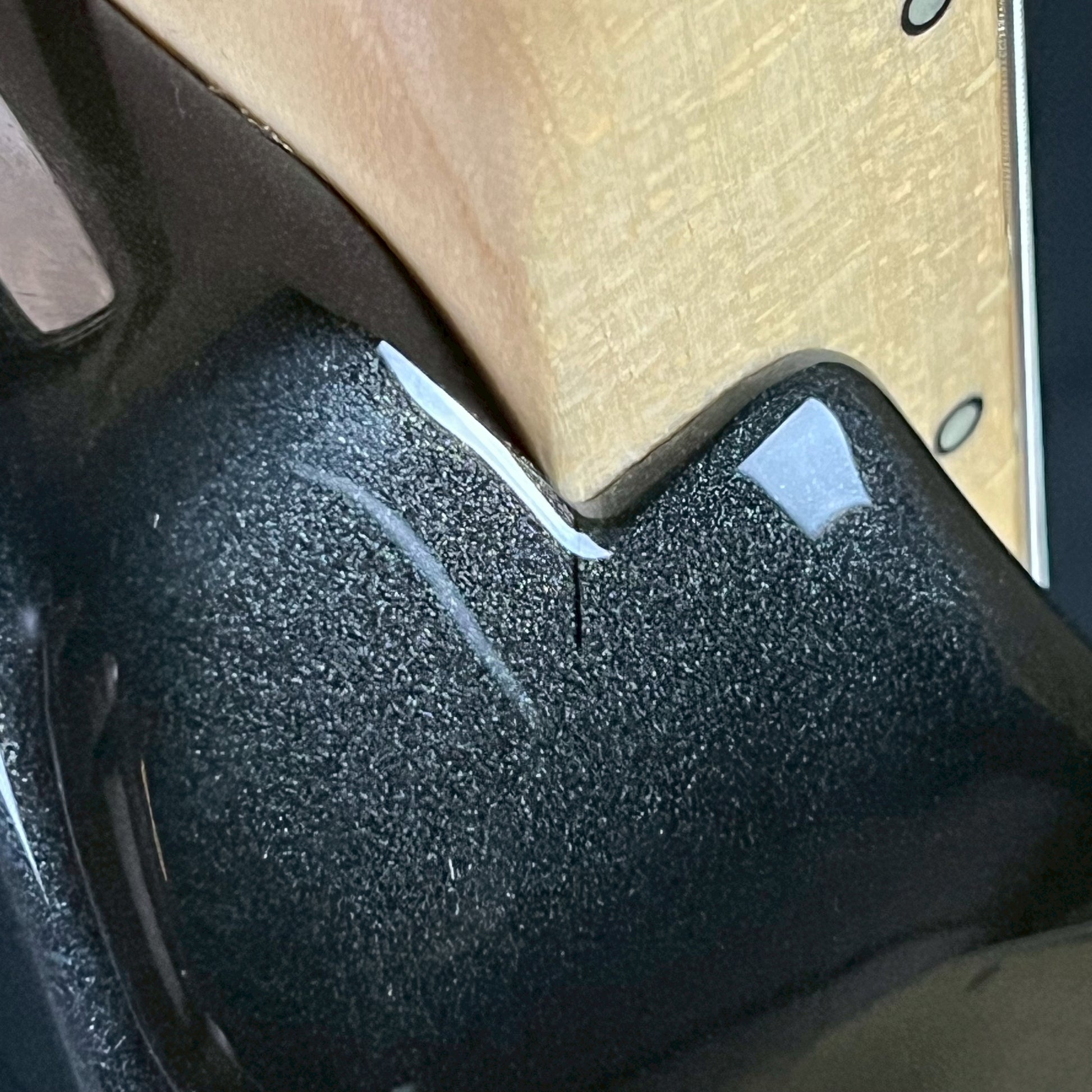 FERNANDES REGULUS Model