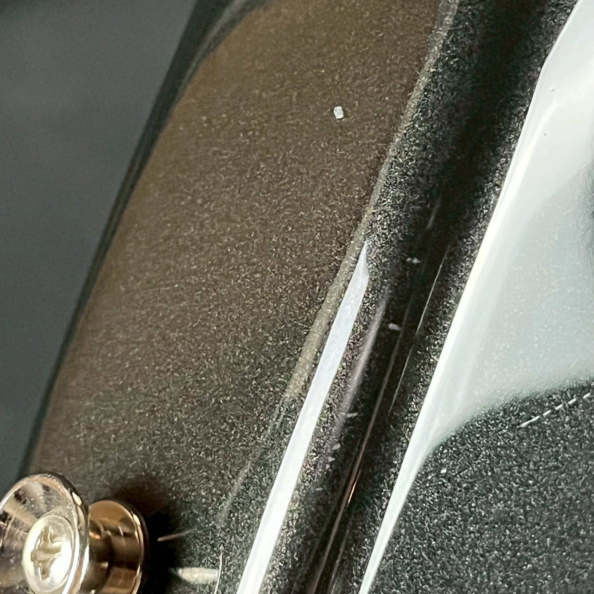 FERNANDES REGULUS Model
