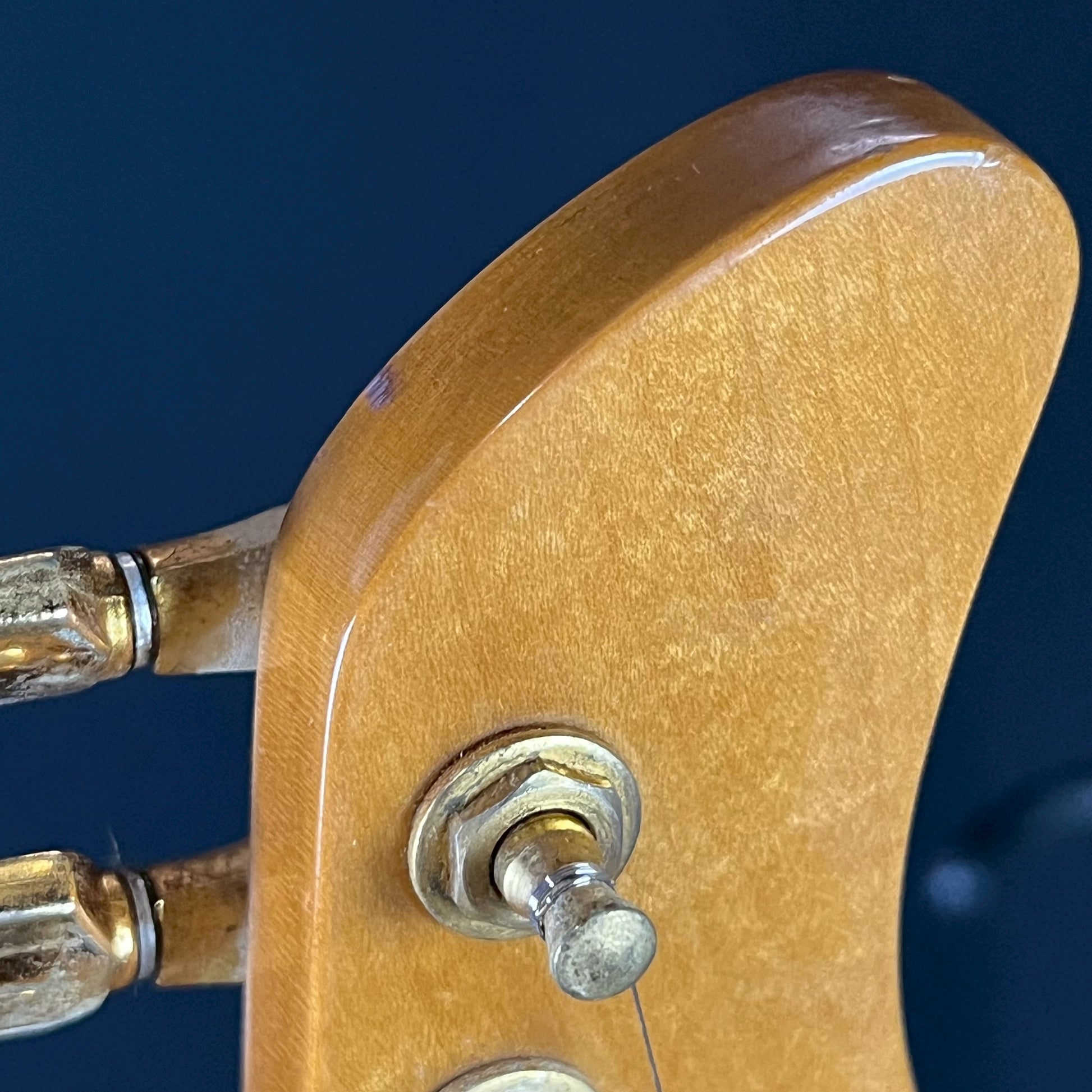 FERNANDES FR-150S