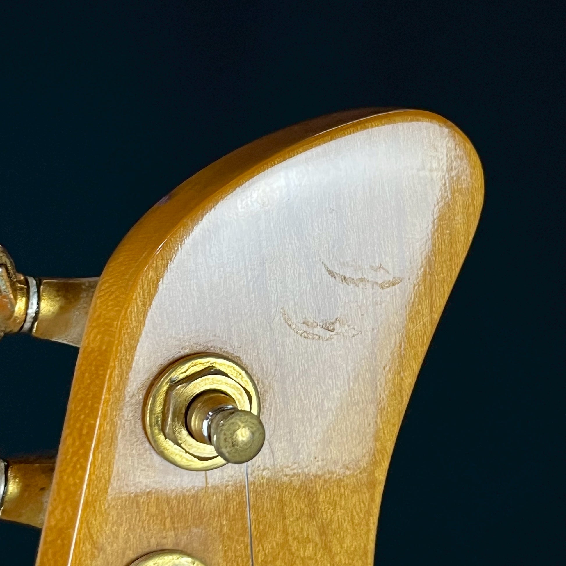 FERNANDES FR-150S