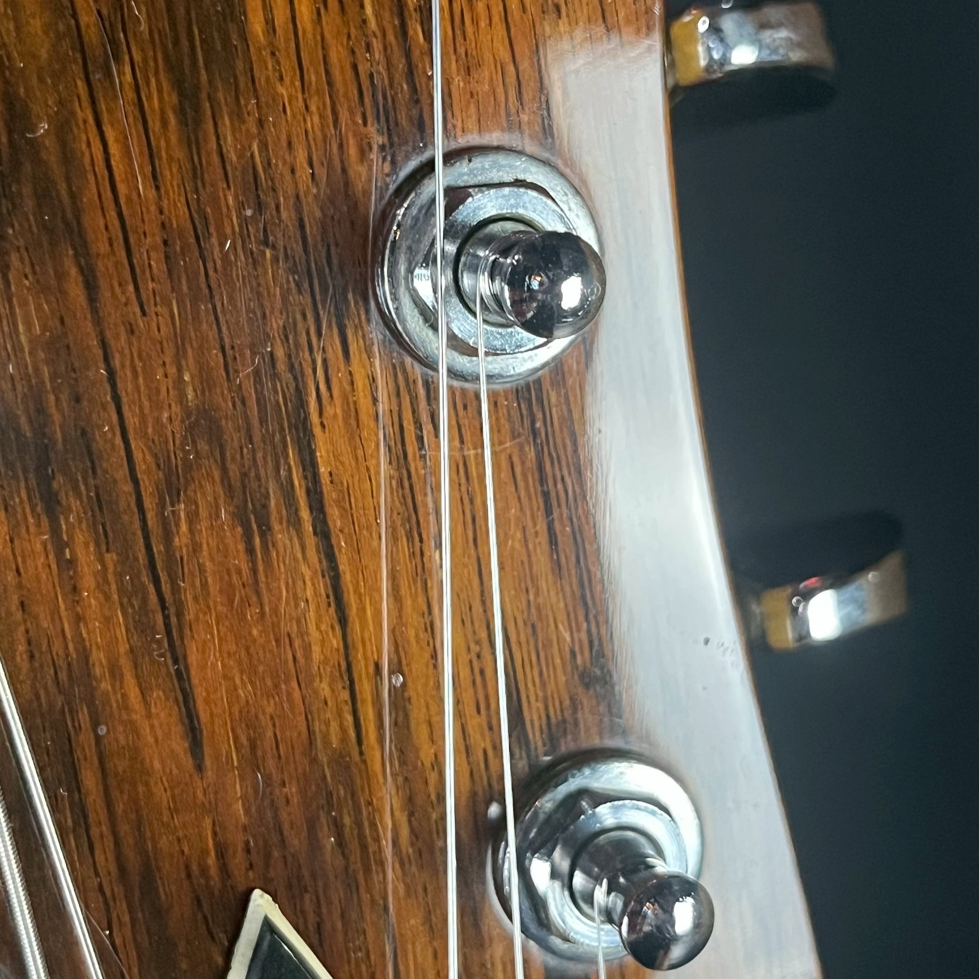 FERNANDES MG-70X Mod