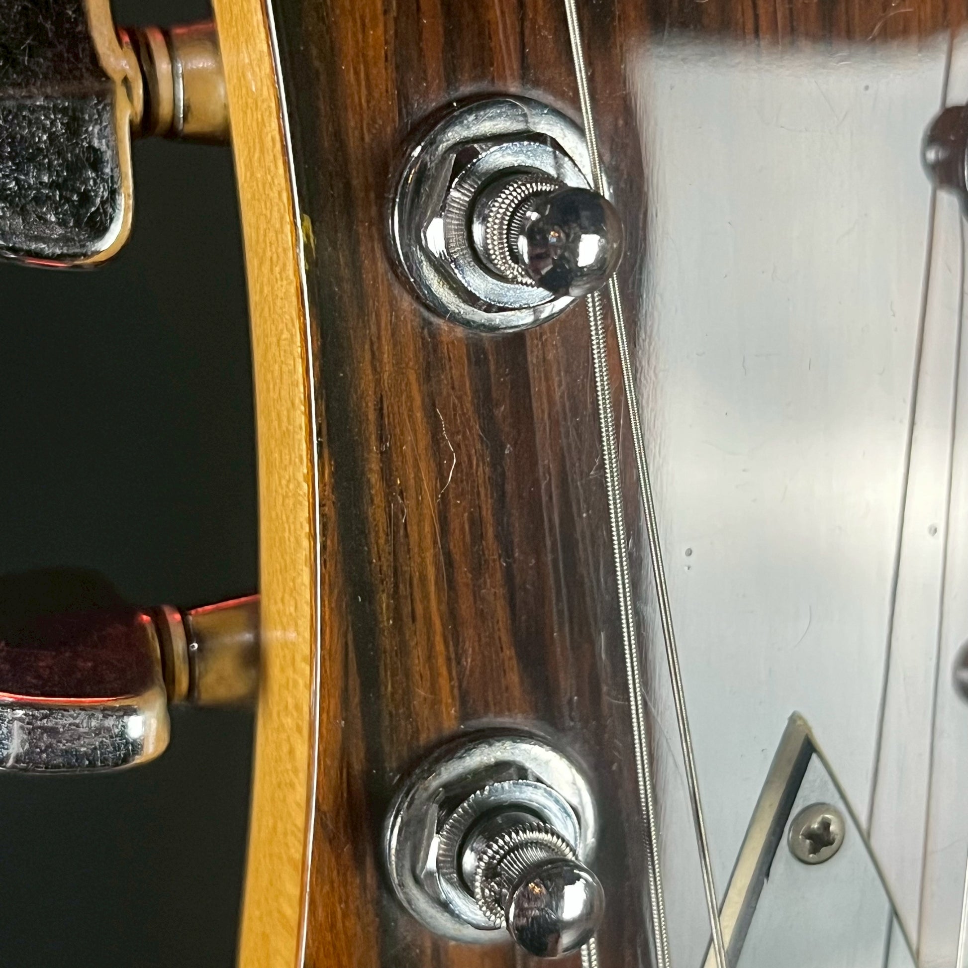FERNANDES MG-70X Mod