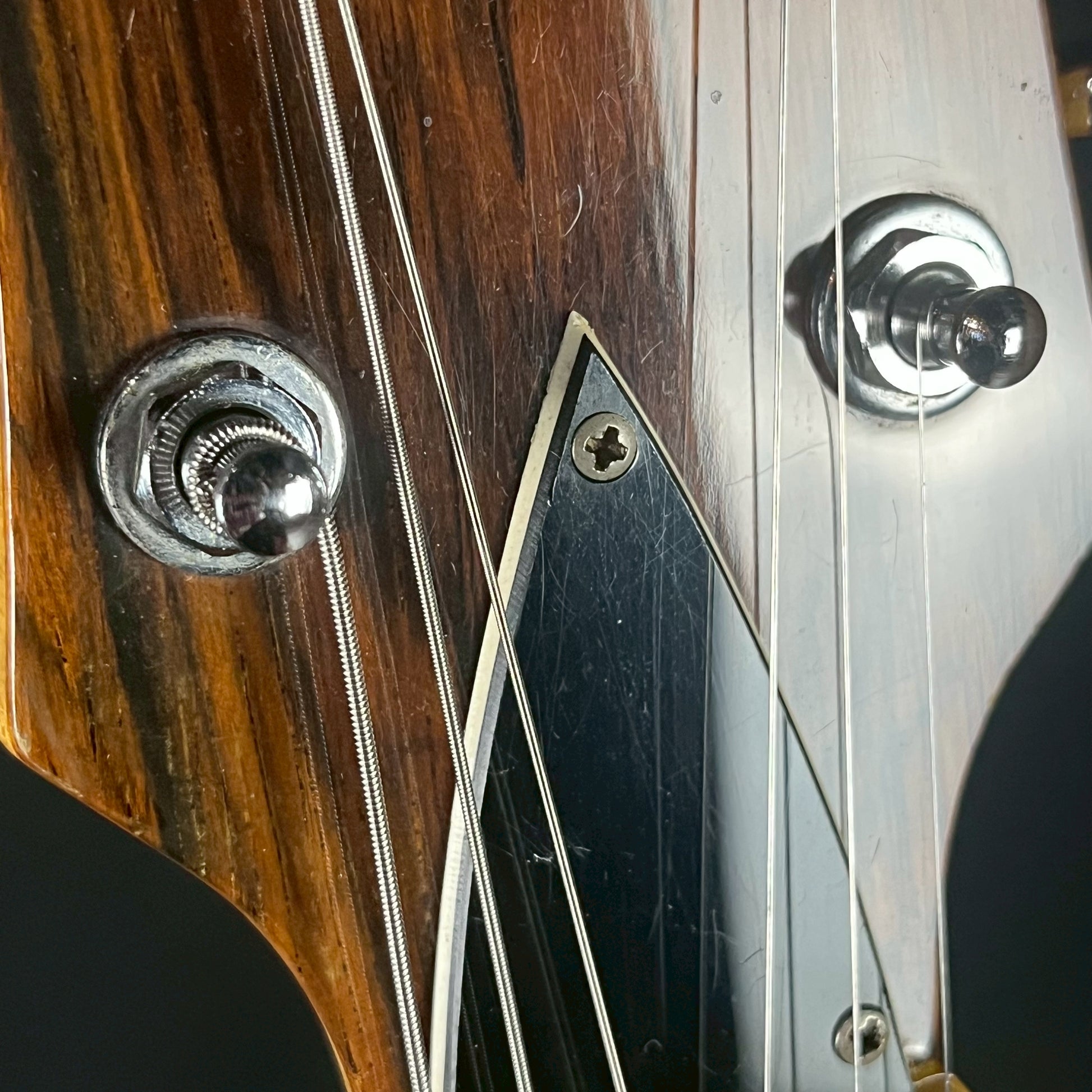 FERNANDES MG-70X Mod